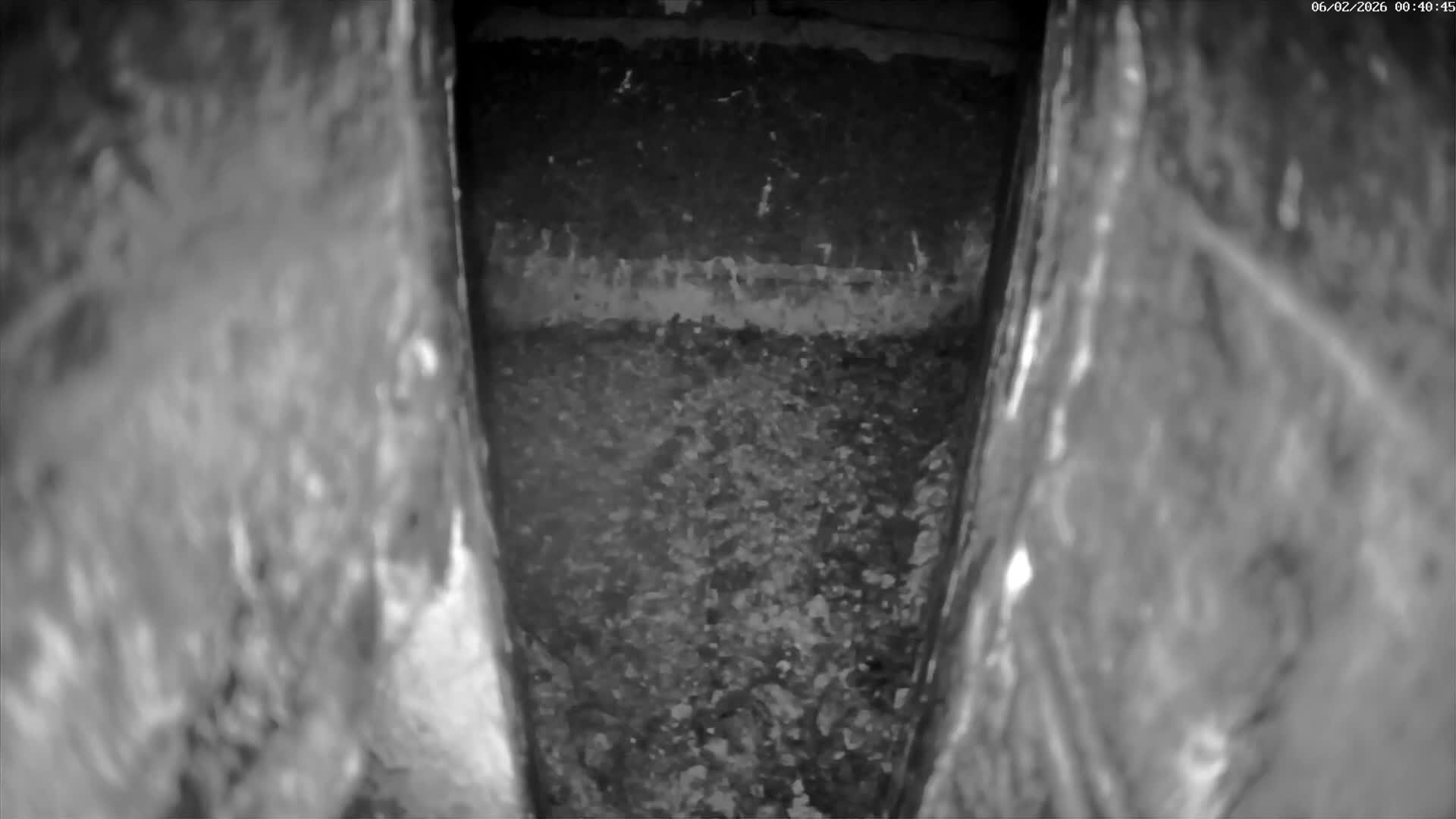 Le Havre , Faucon Crécerelle Falcons Natural Life Live Cam - Le Havre, Seine-Maritime, Normandie, France