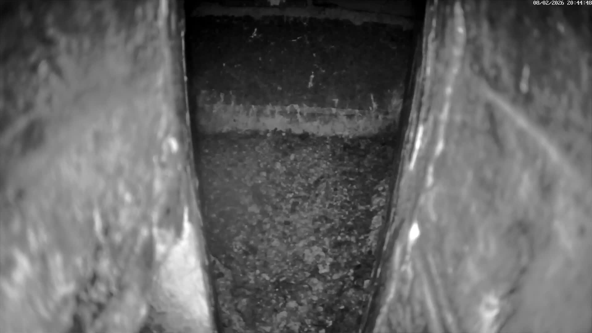 Le Havre , Faucon Crécerelle Falcons Natural Life Live Cam - Le Havre, Seine-Maritime, Normandie, France