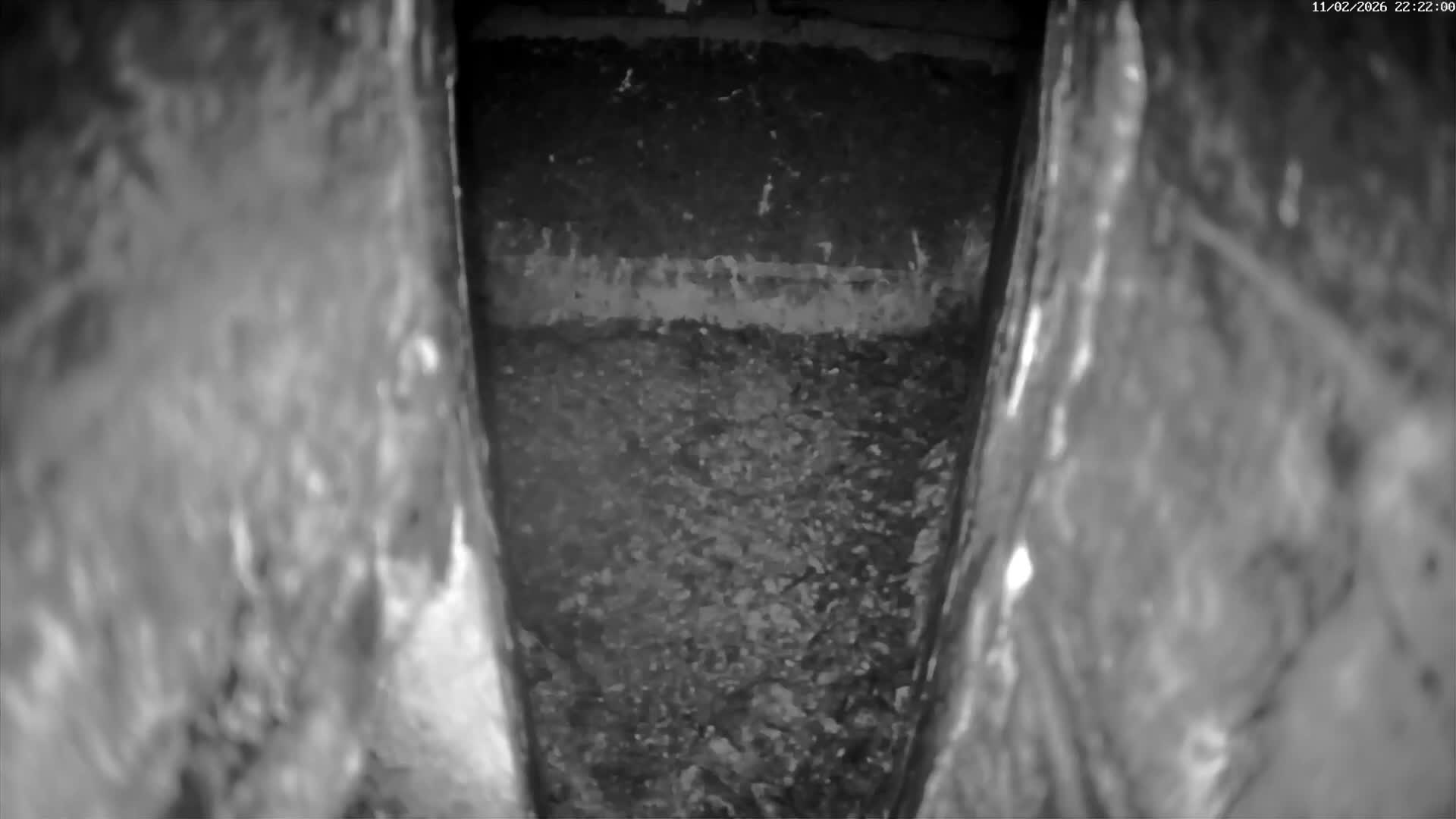 Le Havre , Faucon Crécerelle Falcons Natural Life Live Cam - Le Havre, Seine-Maritime, Normandie, France