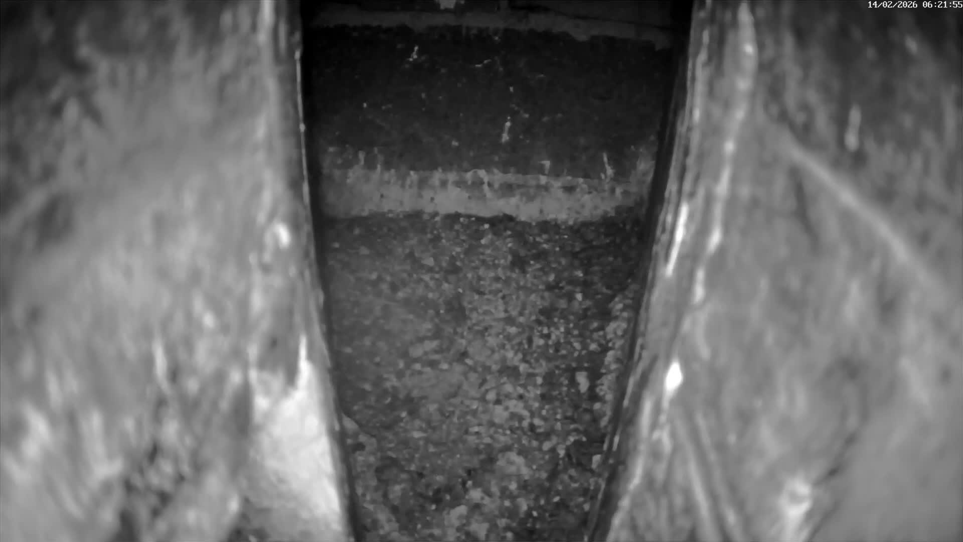 Le Havre , Faucon Crécerelle Falcons Natural Life Live Cam - Le Havre, Seine-Maritime, Normandie, France