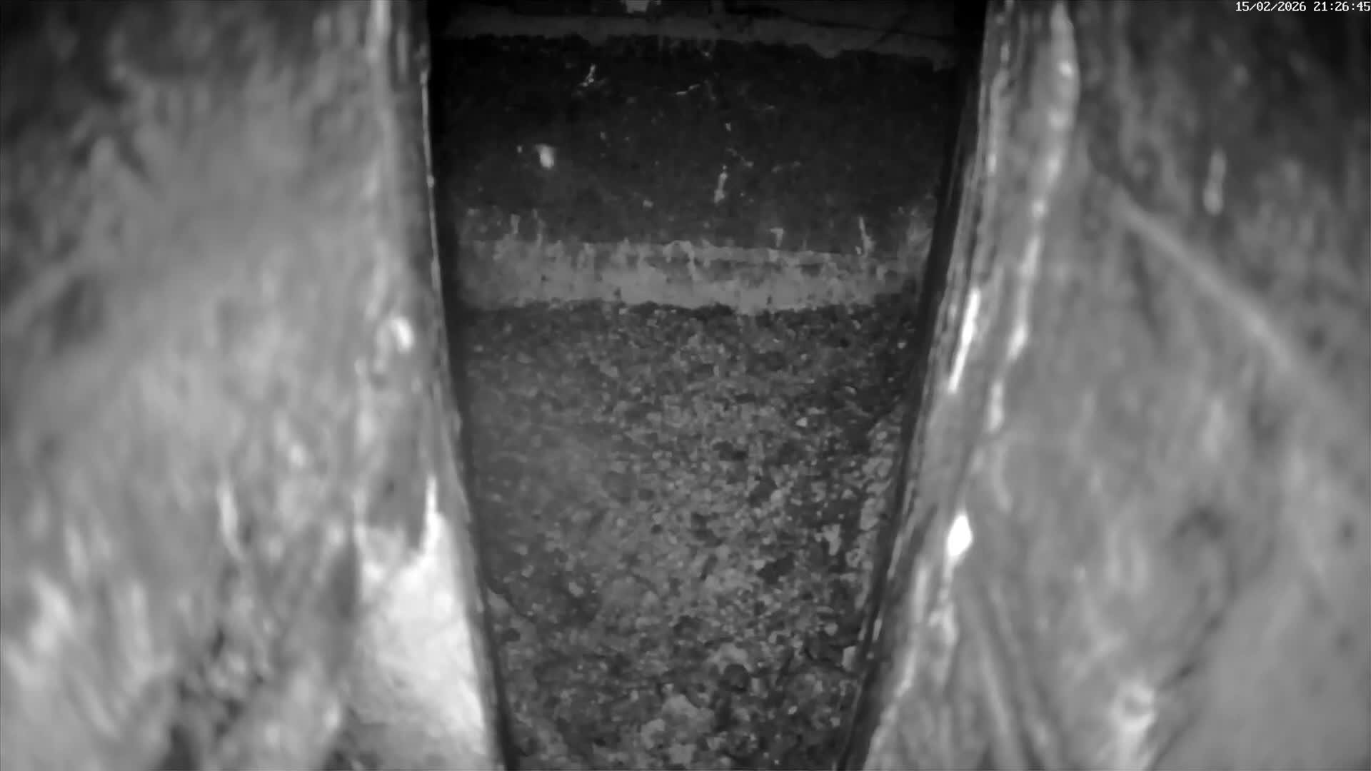 Le Havre , Faucon Crécerelle Falcons Natural Life Live Cam - Le Havre, Seine-Maritime, Normandie, France