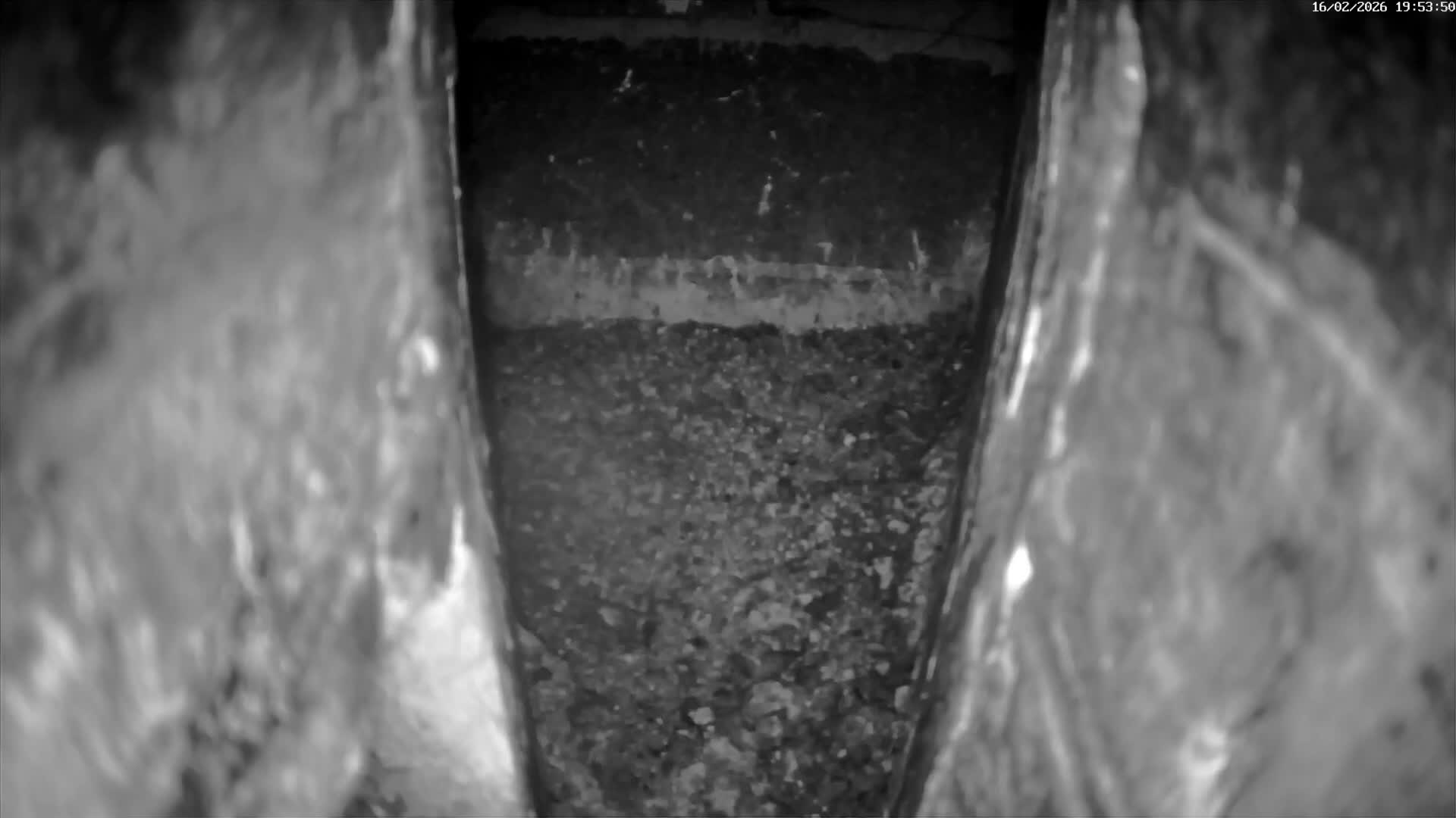 Le Havre , Faucon Crécerelle Falcons Natural Life Live Cam - Le Havre, Seine-Maritime, Normandie, France
