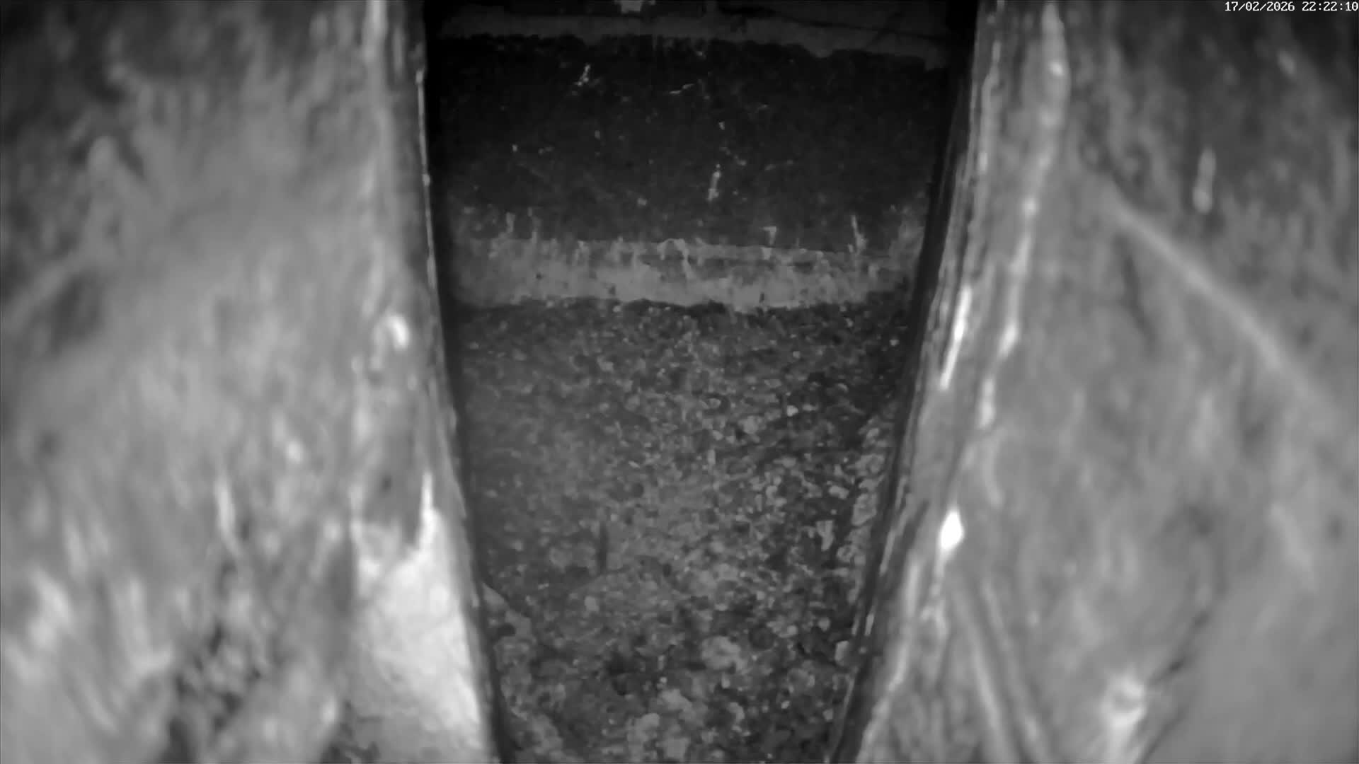 Le Havre , Faucon Crécerelle Falcons Natural Life Live Cam - Le Havre, Seine-Maritime, Normandie, France