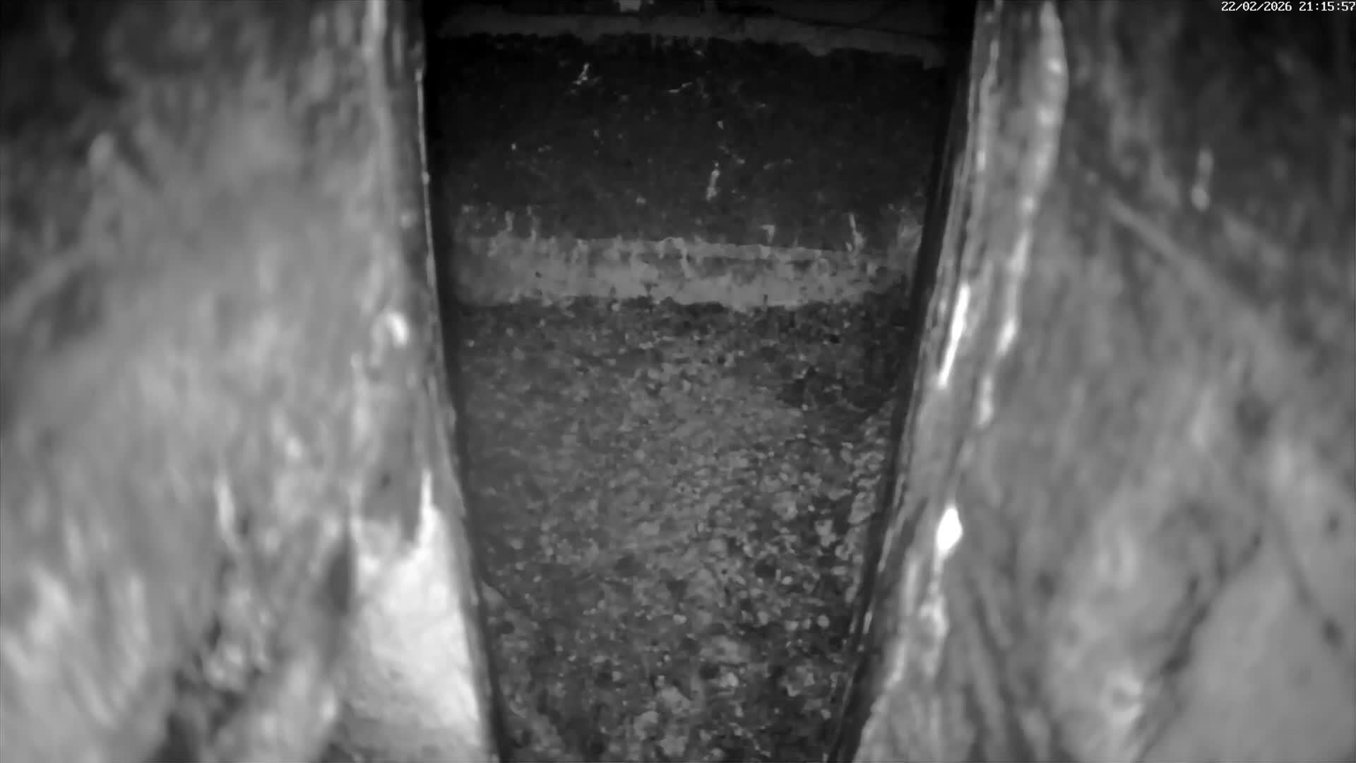 Le Havre , Faucon Crécerelle Falcons Natural Life Live Cam - Le Havre, Seine-Maritime, Normandie, France