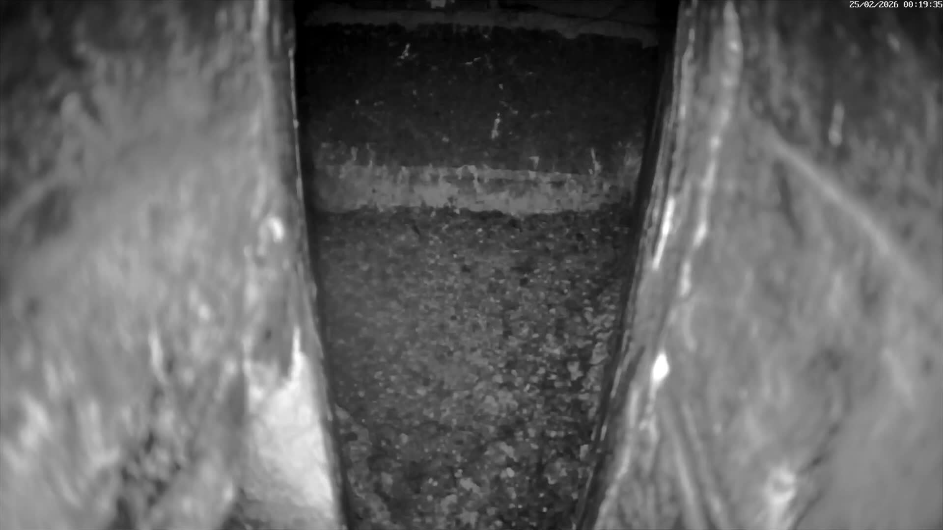 Le Havre , Faucon Crécerelle Falcons Natural Life Live Cam - Le Havre, Seine-Maritime, Normandie, France