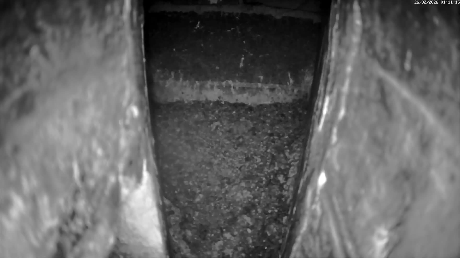 Le Havre , Faucon Crécerelle Falcons Natural Life Live Cam - Le Havre, Seine-Maritime, Normandie, France