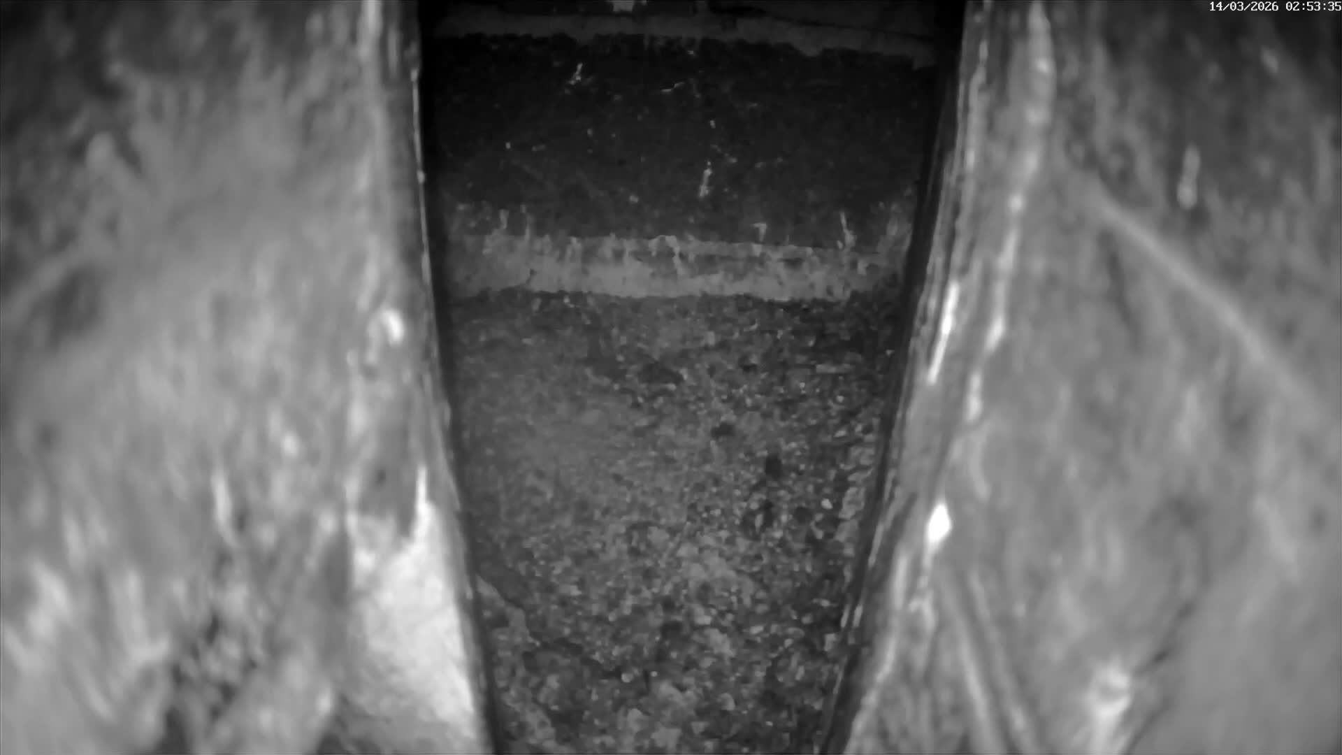 Le Havre , Faucon Crécerelle Falcons Natural Life Live Cam - Le Havre, Seine-Maritime, Normandie, France