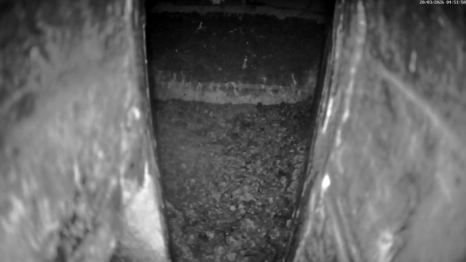 Le Havre , Faucon Crécerelle Falcons Natural Life Live Cam - Le Havre, Seine-Maritime, Normandie, France