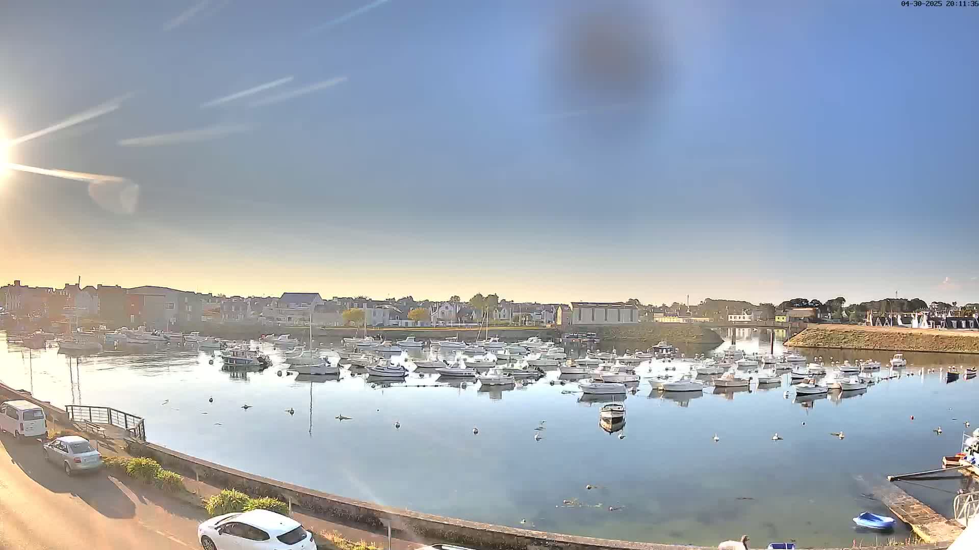 A sunny day reveals a harbor filled with numerous boats, moored alongside a waterfront town.