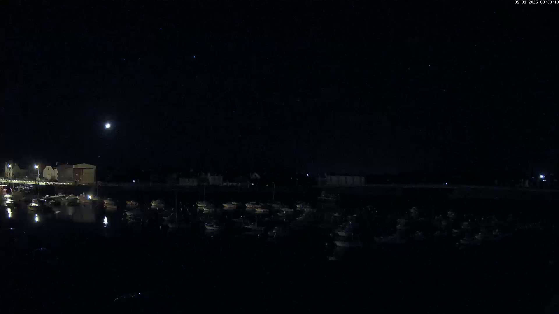 Under a clear, moonlit night sky, numerous boats are docked in a harbor near a dimly lit shoreline.