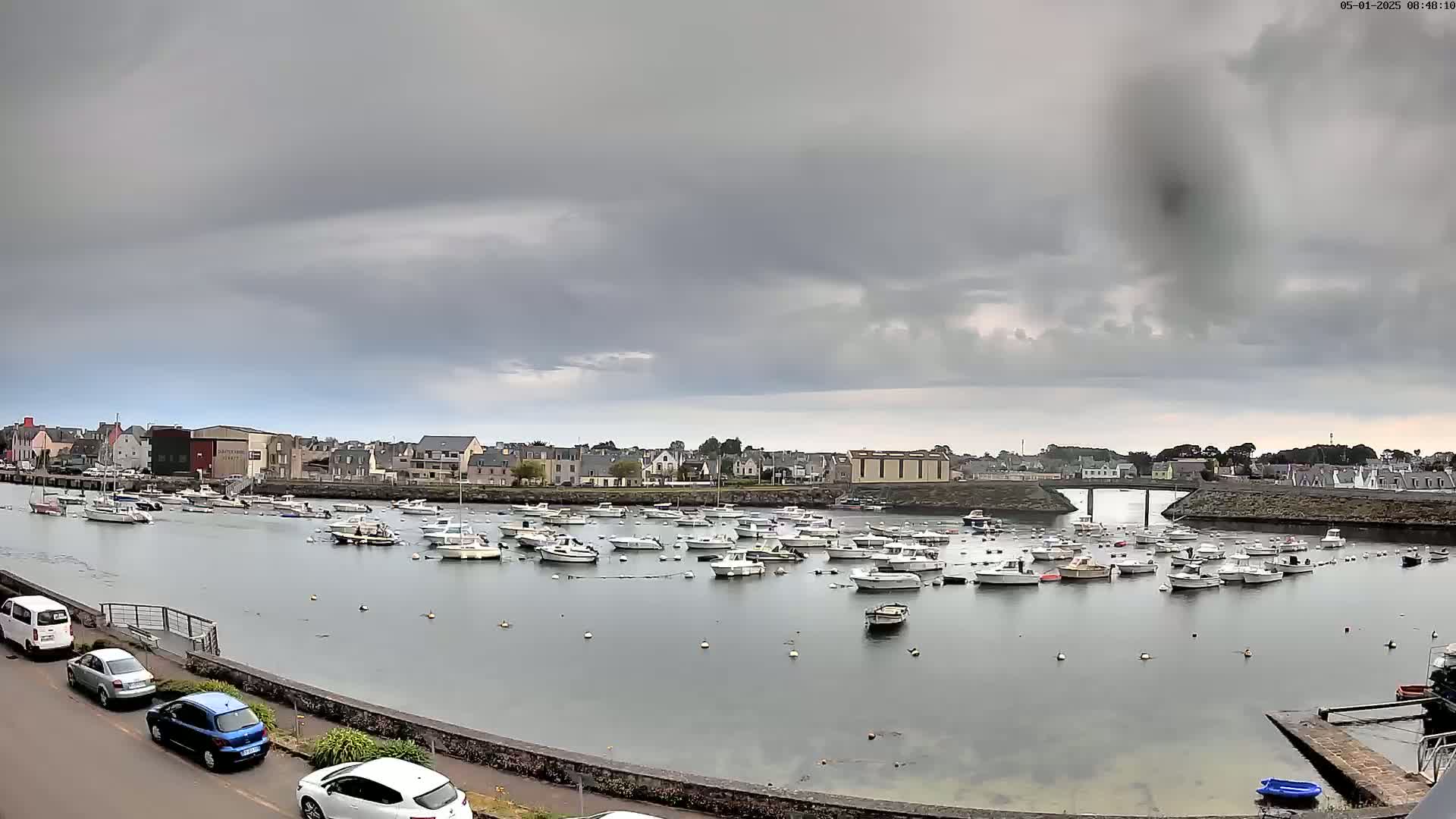 A harbor filled with numerous small boats is seen under a cloudy sky.