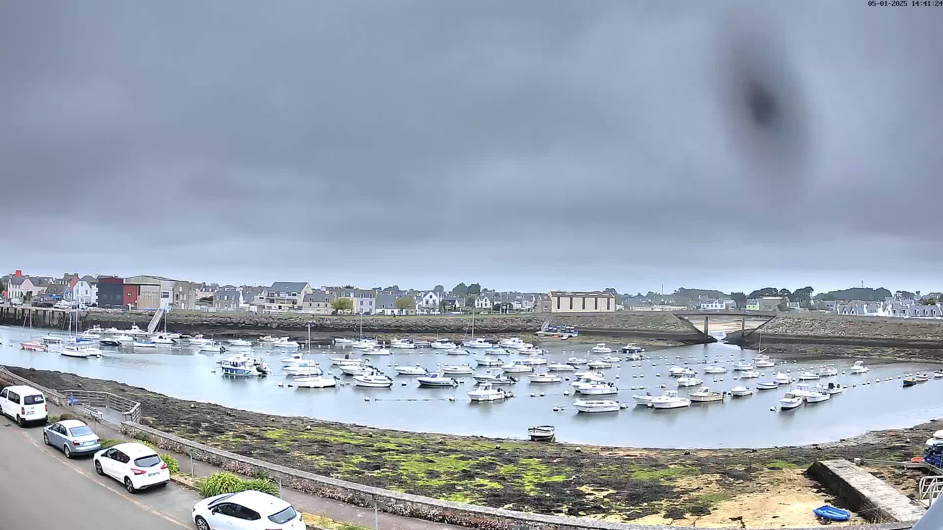 A harbor filled with numerous small boats is situated under an overcast sky next to a town.