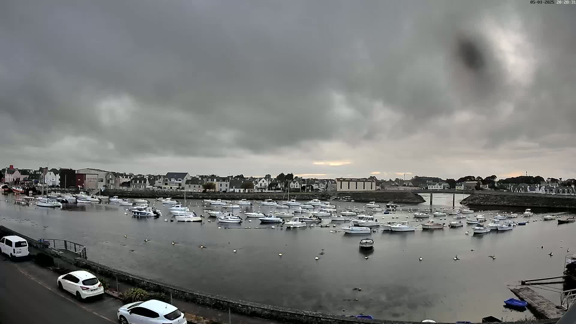 Many small white boats are moored in a calm harbor under an overcast sky.