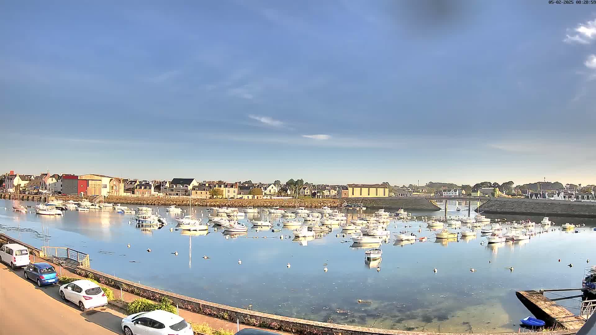 Numerous small white boats are moored in a calm harbor in front of a town under a mostly clear blue sky.