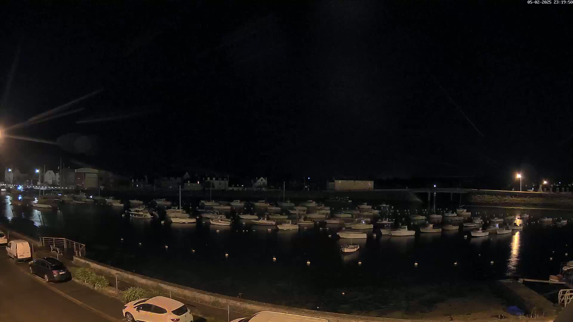At night, many small boats are moored in a calm harbor, with cars parked along a nearby road under a dark sky.