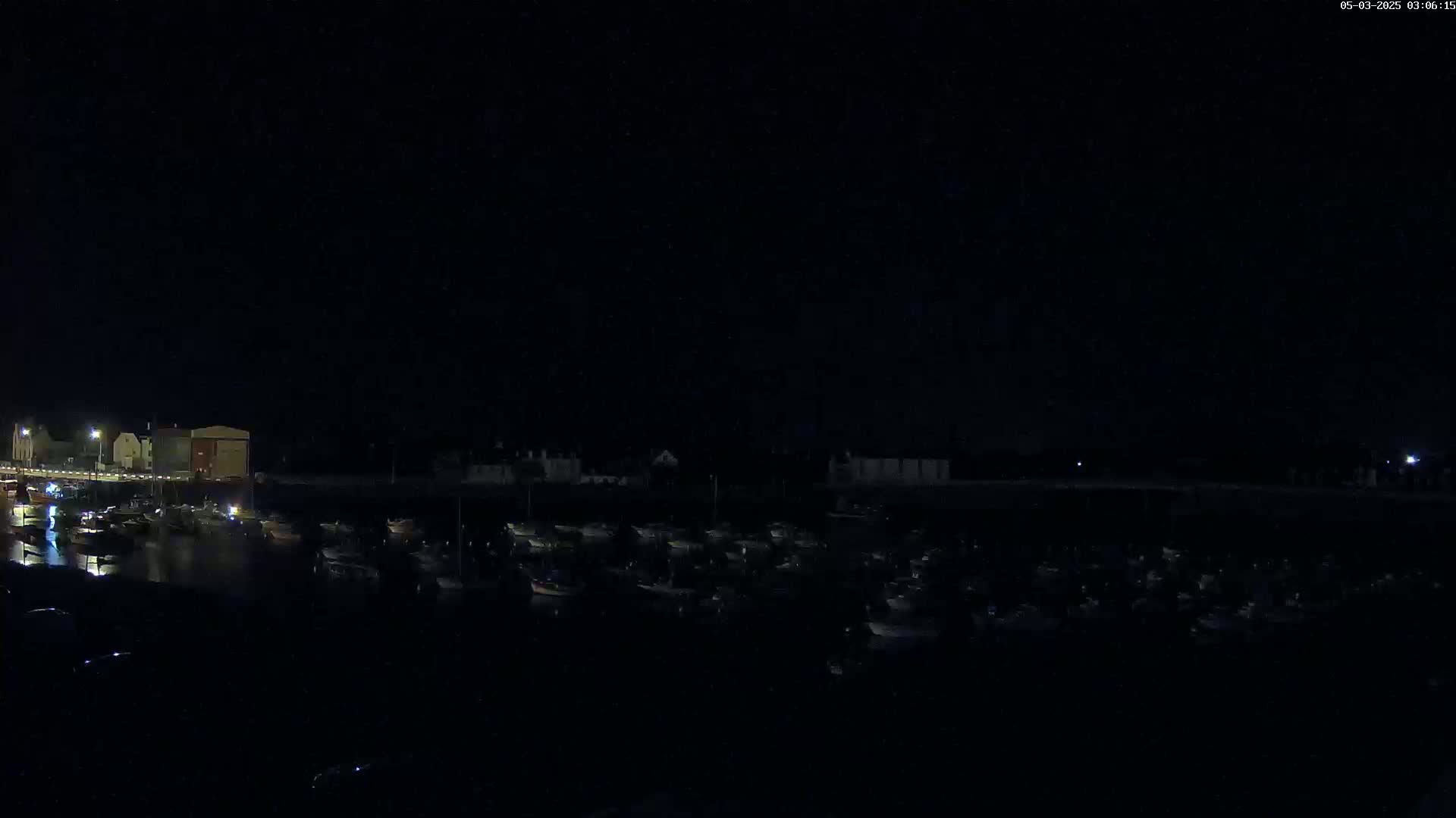 A nighttime view shows a harbor filled with numerous boats moored near a dimly lit shoreline.