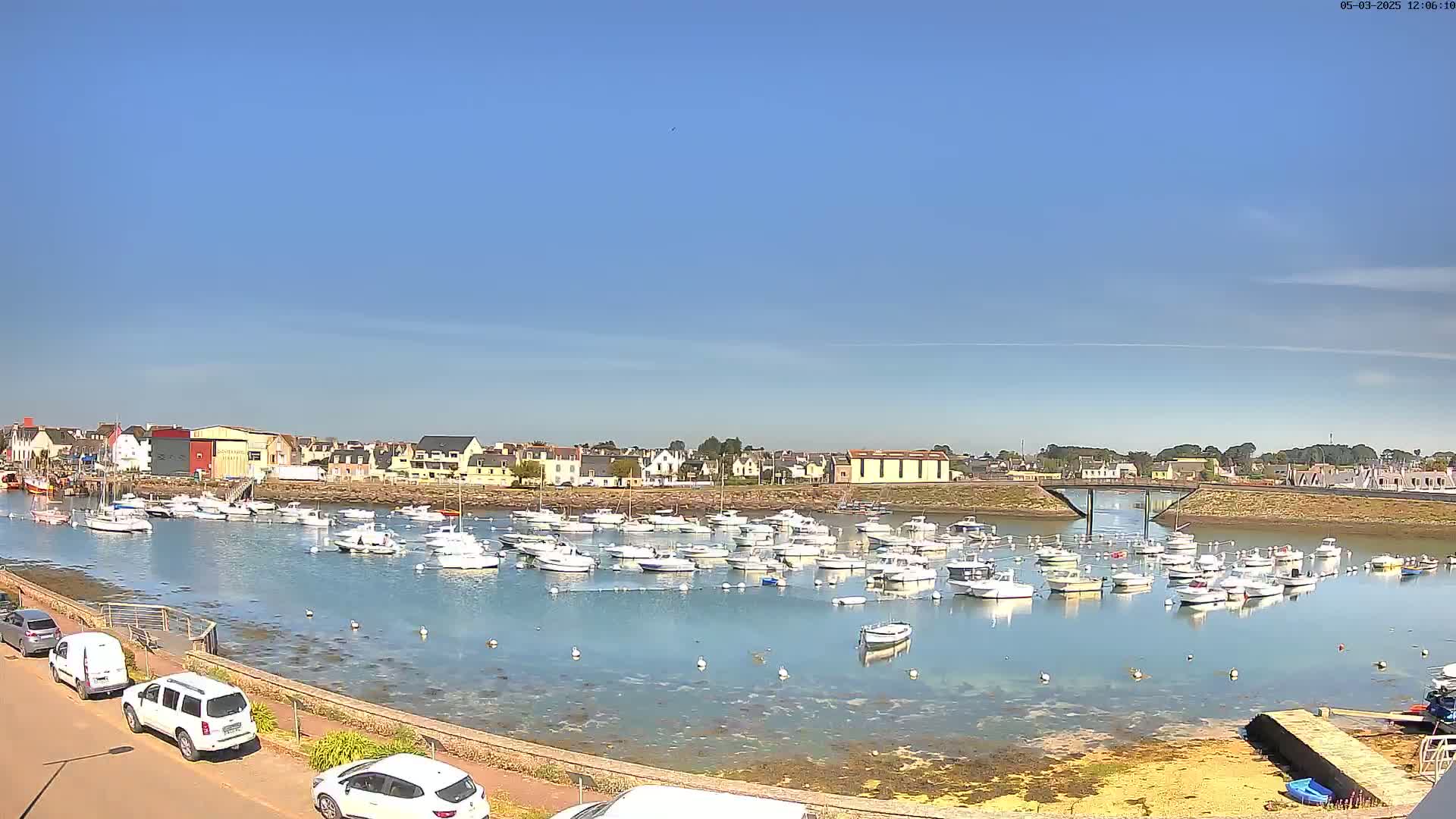 A calm harbor filled with numerous white boats is situated in front of a town under a clear blue sky.