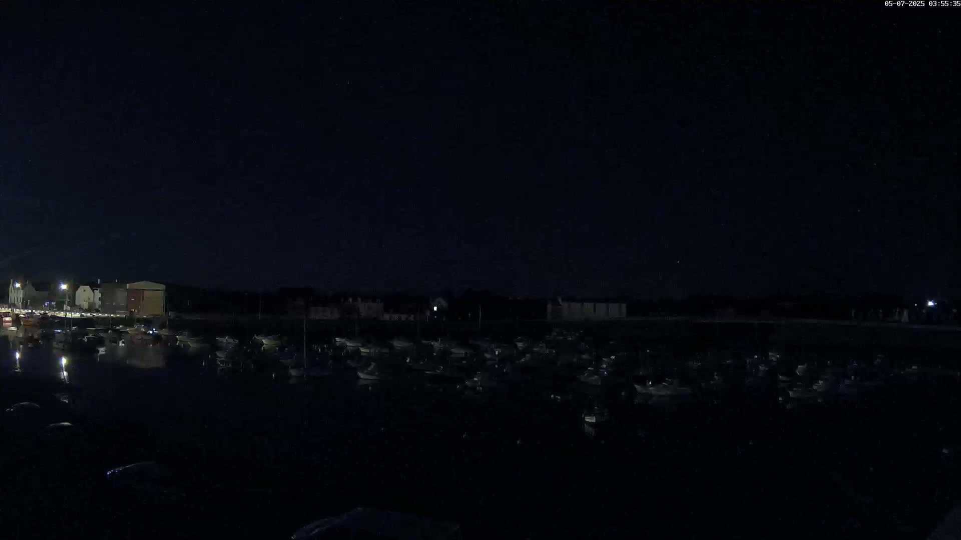 Under a dark night sky, a marina filled with numerous boats is visible near a waterfront building.