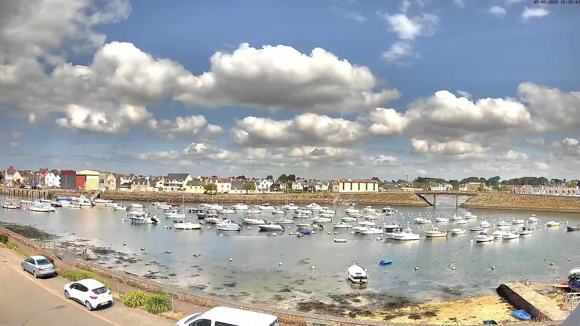A harbor filled with numerous boats is situated in front of a town under a partly cloudy sky.