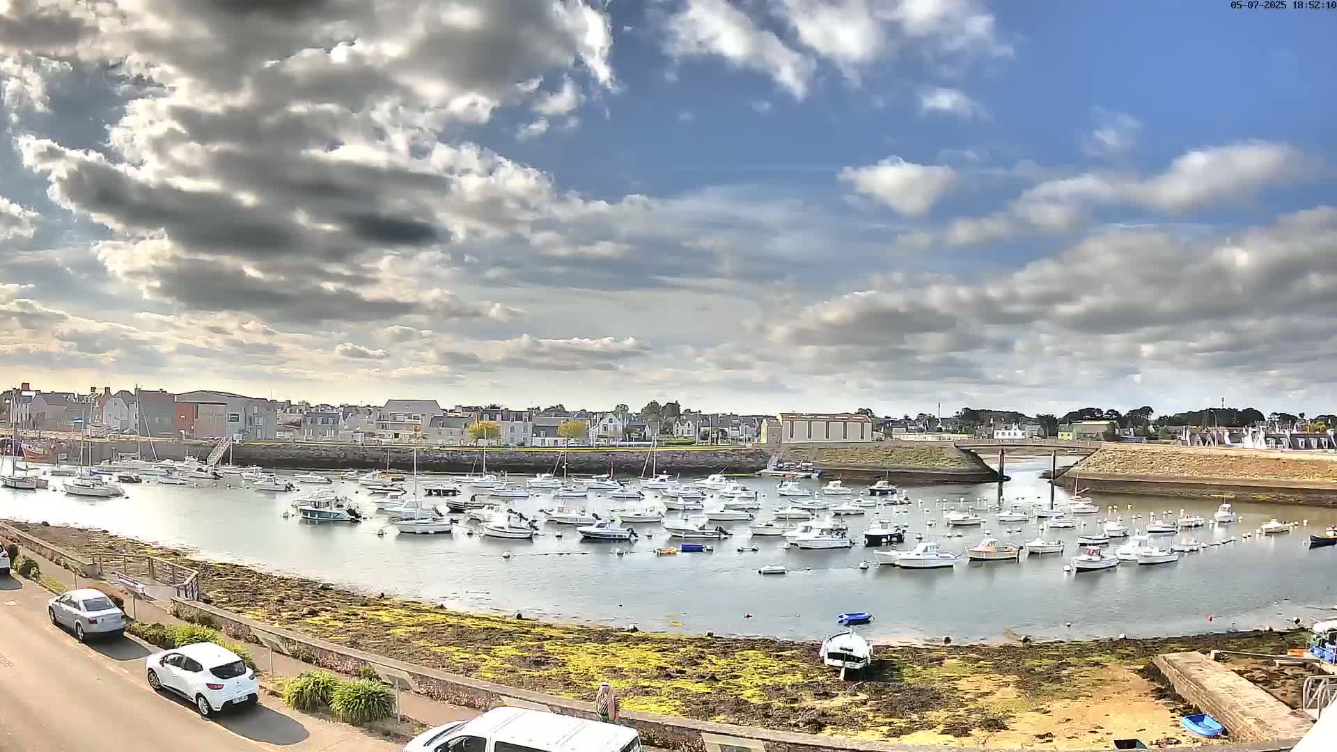 A harbor filled with numerous small boats is situated under a partly cloudy sky.