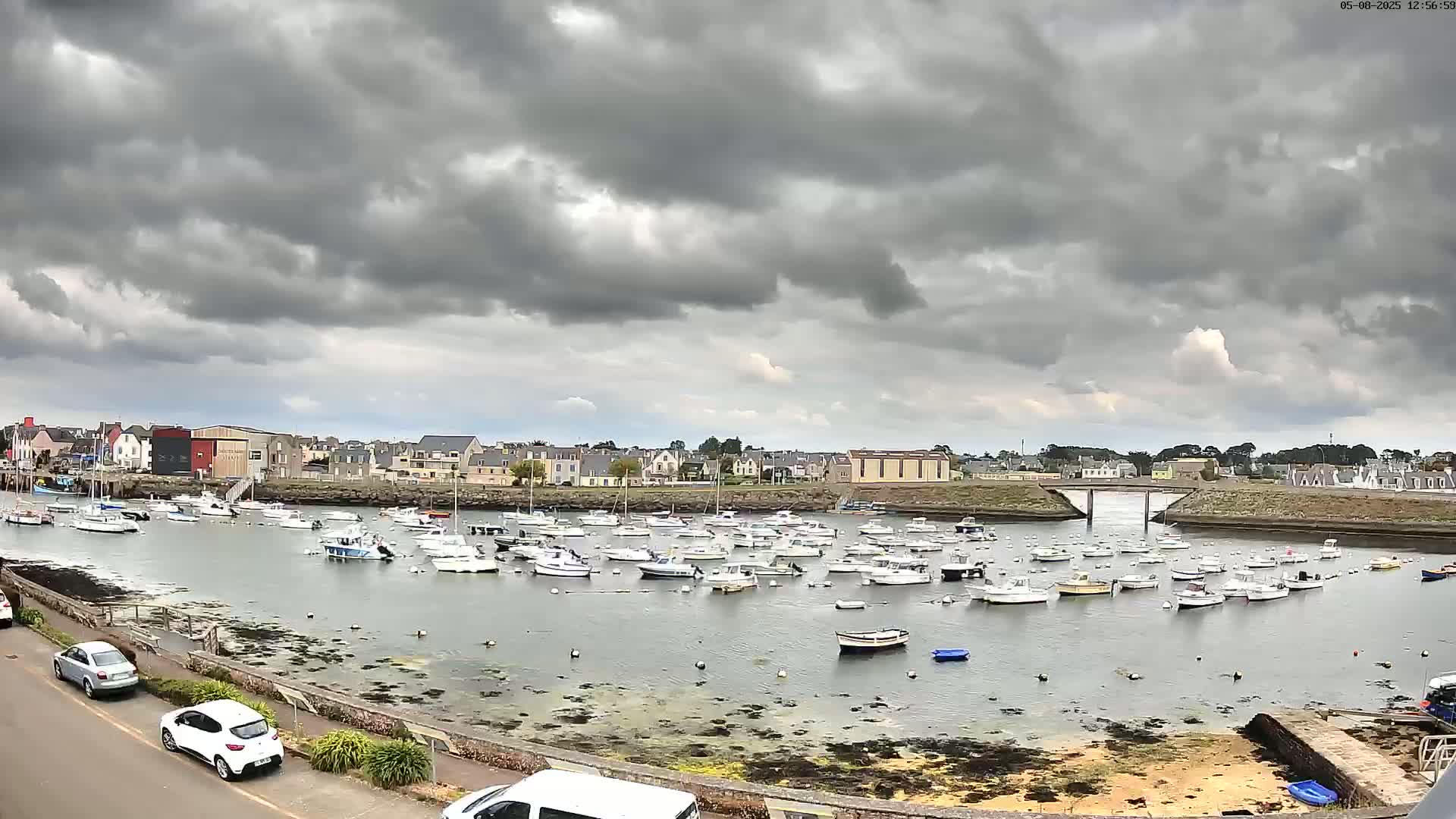 Many small boats are moored in a calm harbor under a cloudy sky.