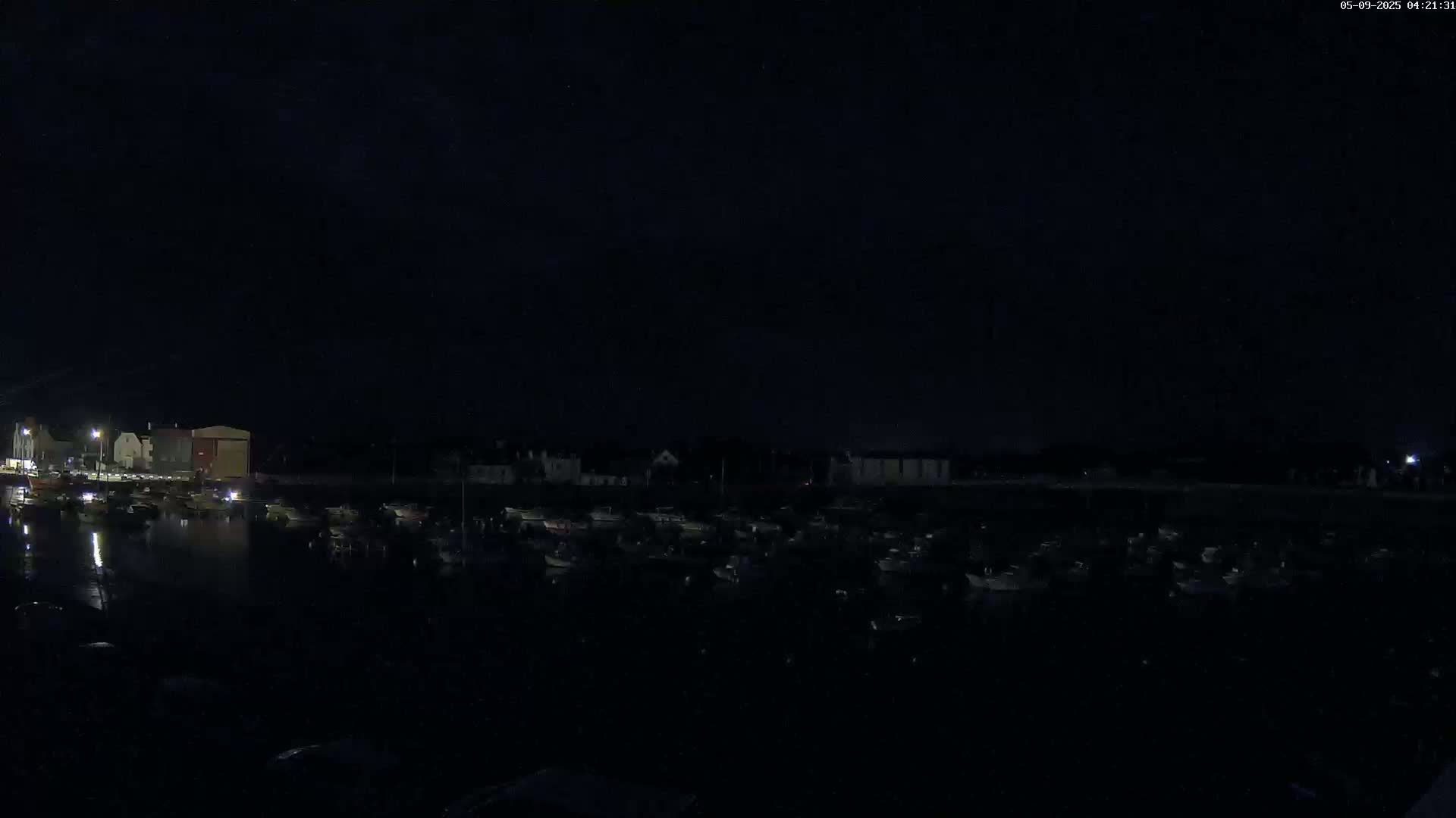 A nighttime harbor scene shows a collection of boats moored in calm water under a dark sky.
