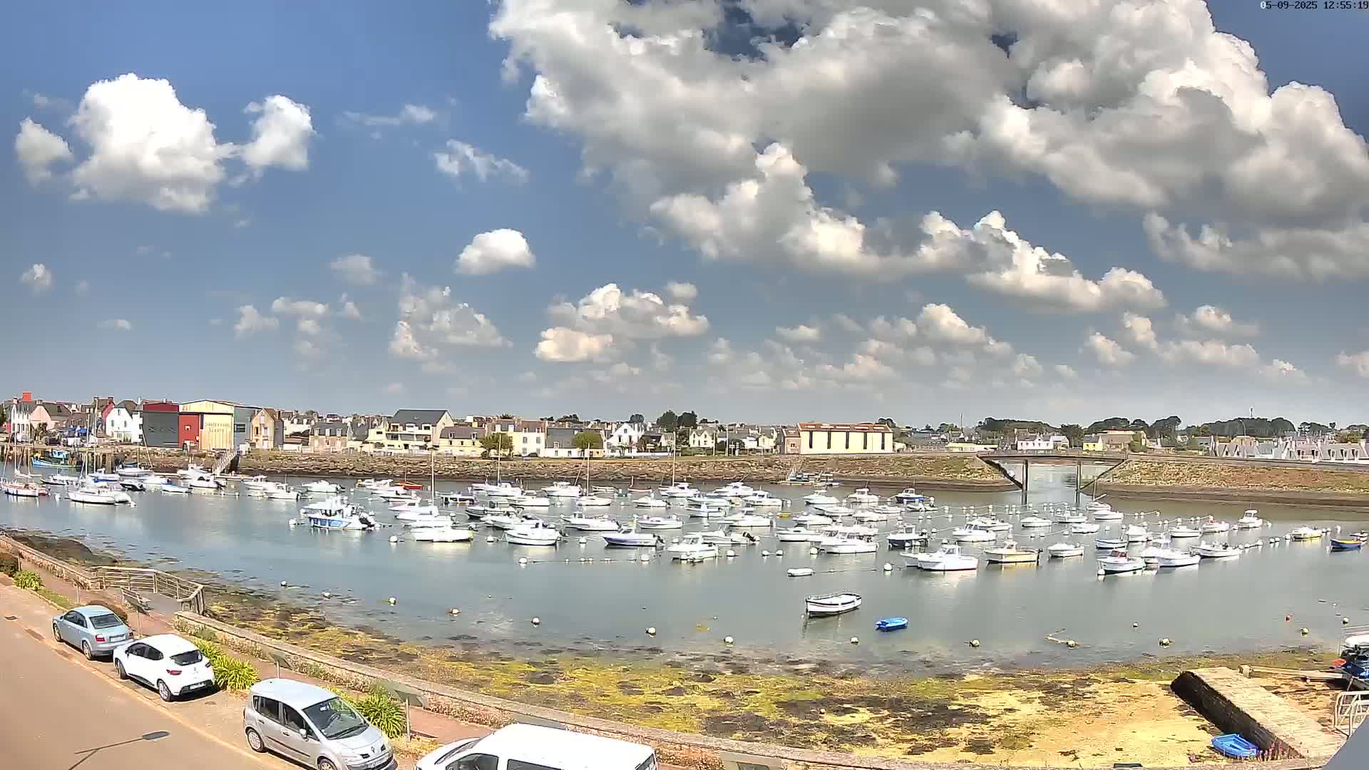 A harbor filled with numerous small boats is situated near a town under a partly cloudy sky.