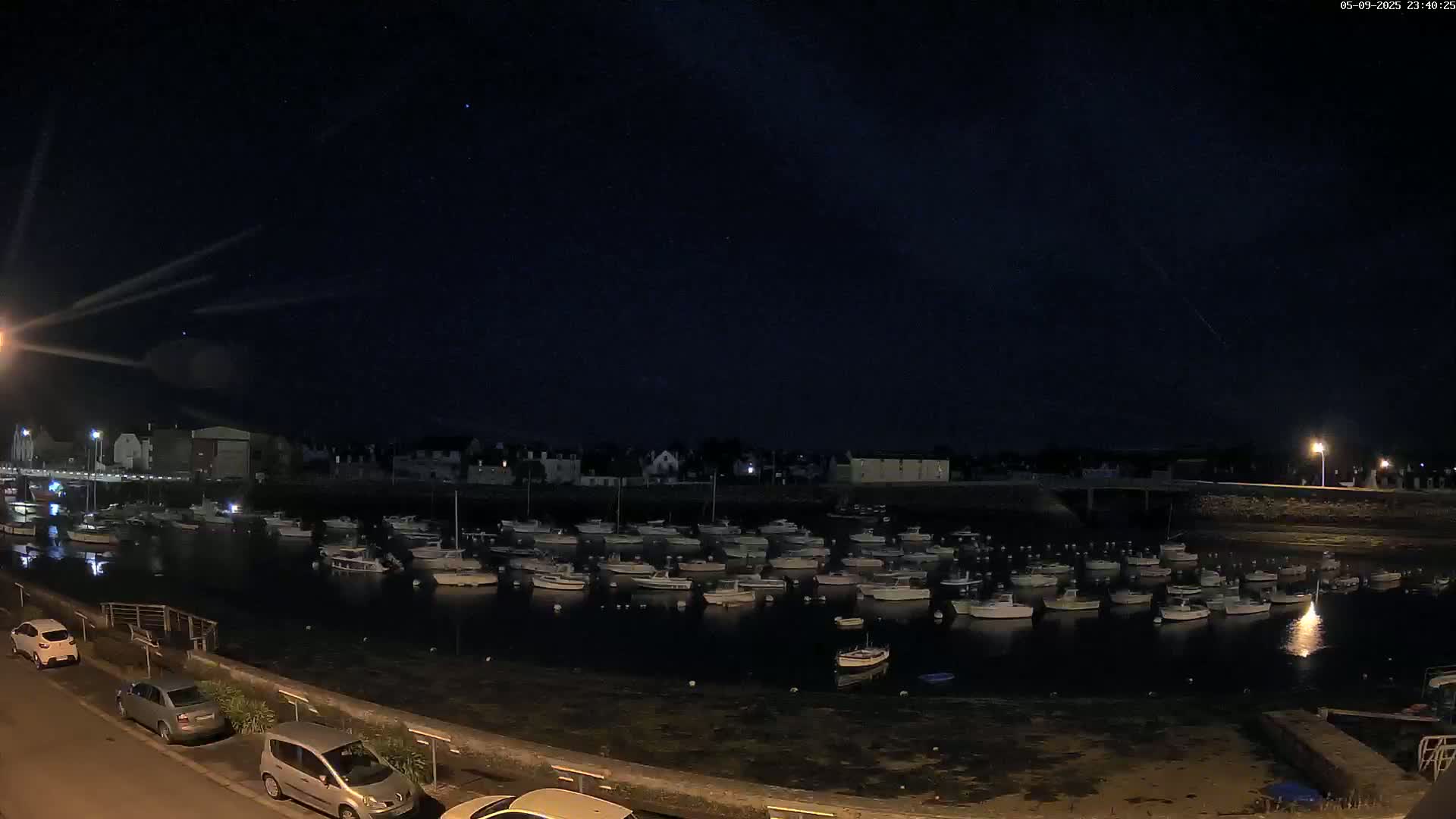 A nighttime view of a harbor filled with numerous small boats under a clear, starry sky.