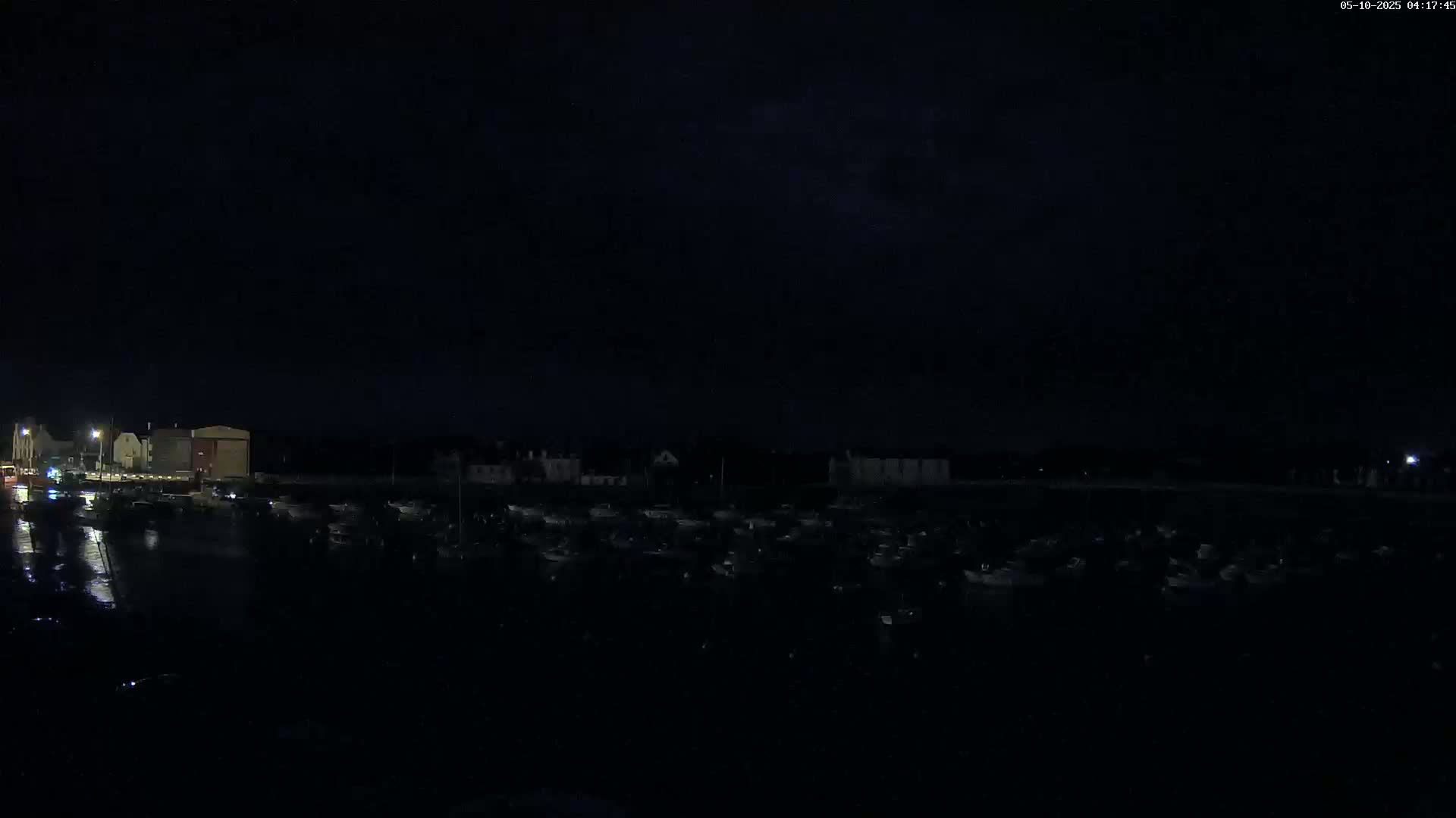 A dark nighttime scene shows a harbor filled with numerous boats under a mostly clear, dark sky.