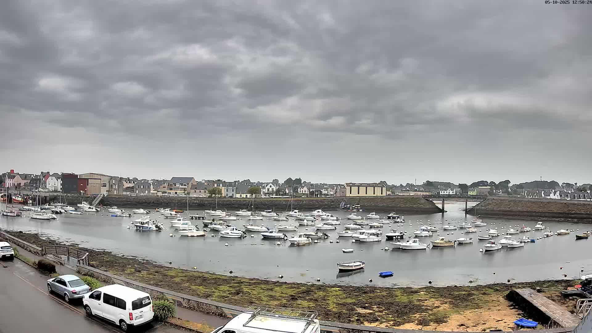 Many boats are moored in a calm harbor under an overcast sky.