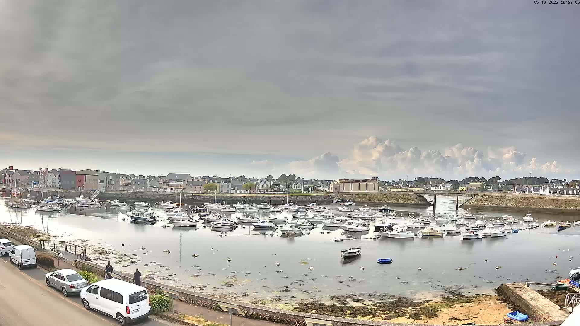 A harbor filled with numerous small boats is situated in front of a town under an overcast sky.