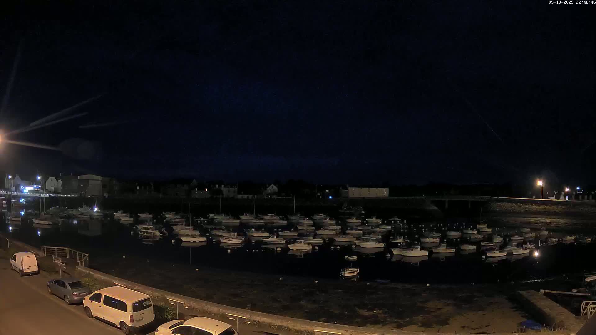 A nighttime view of a harbor filled with numerous small boats under a dark, clear sky.