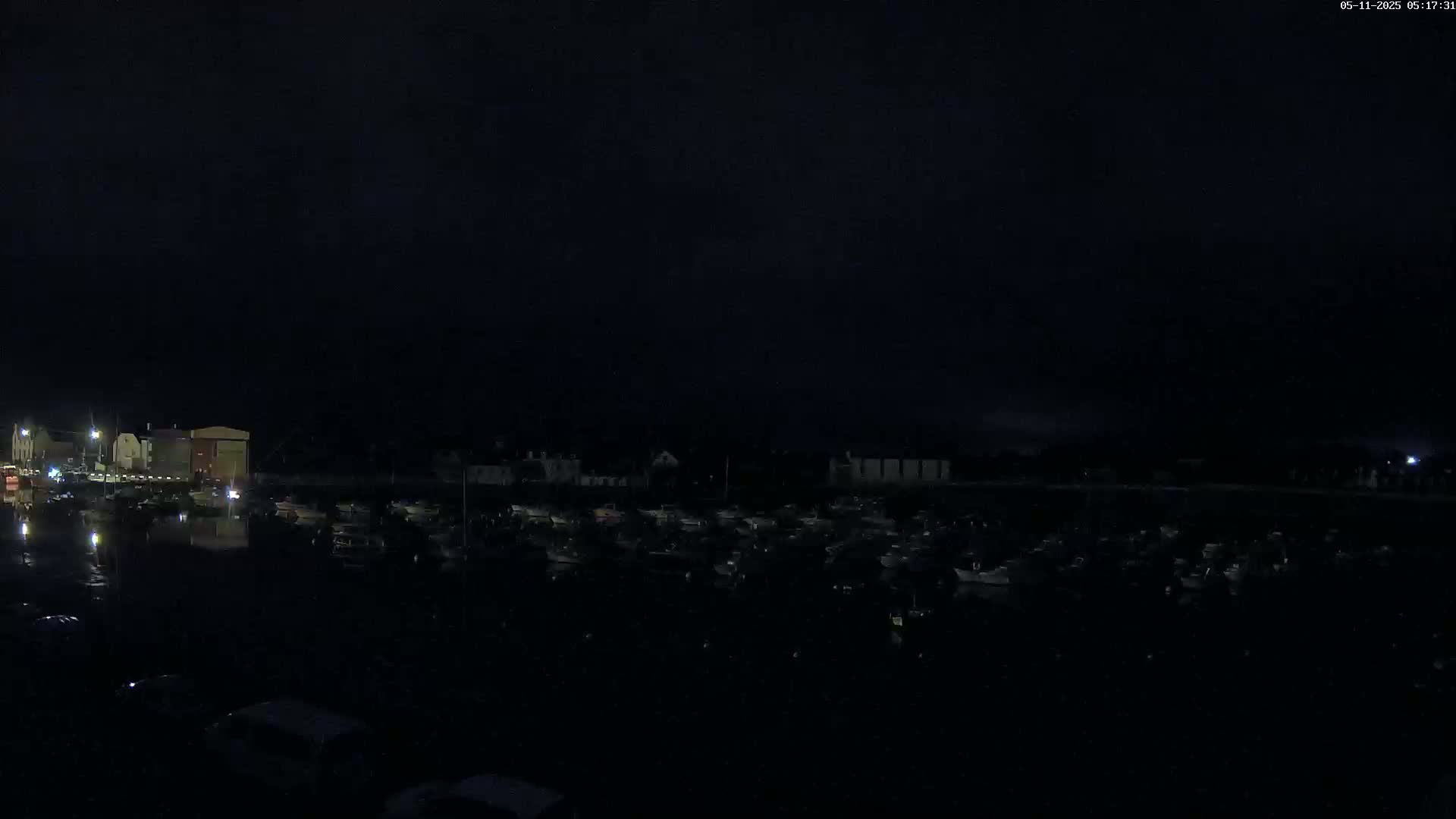 A dark night scene shows a harbor filled with numerous boats under a mostly cloudy sky.