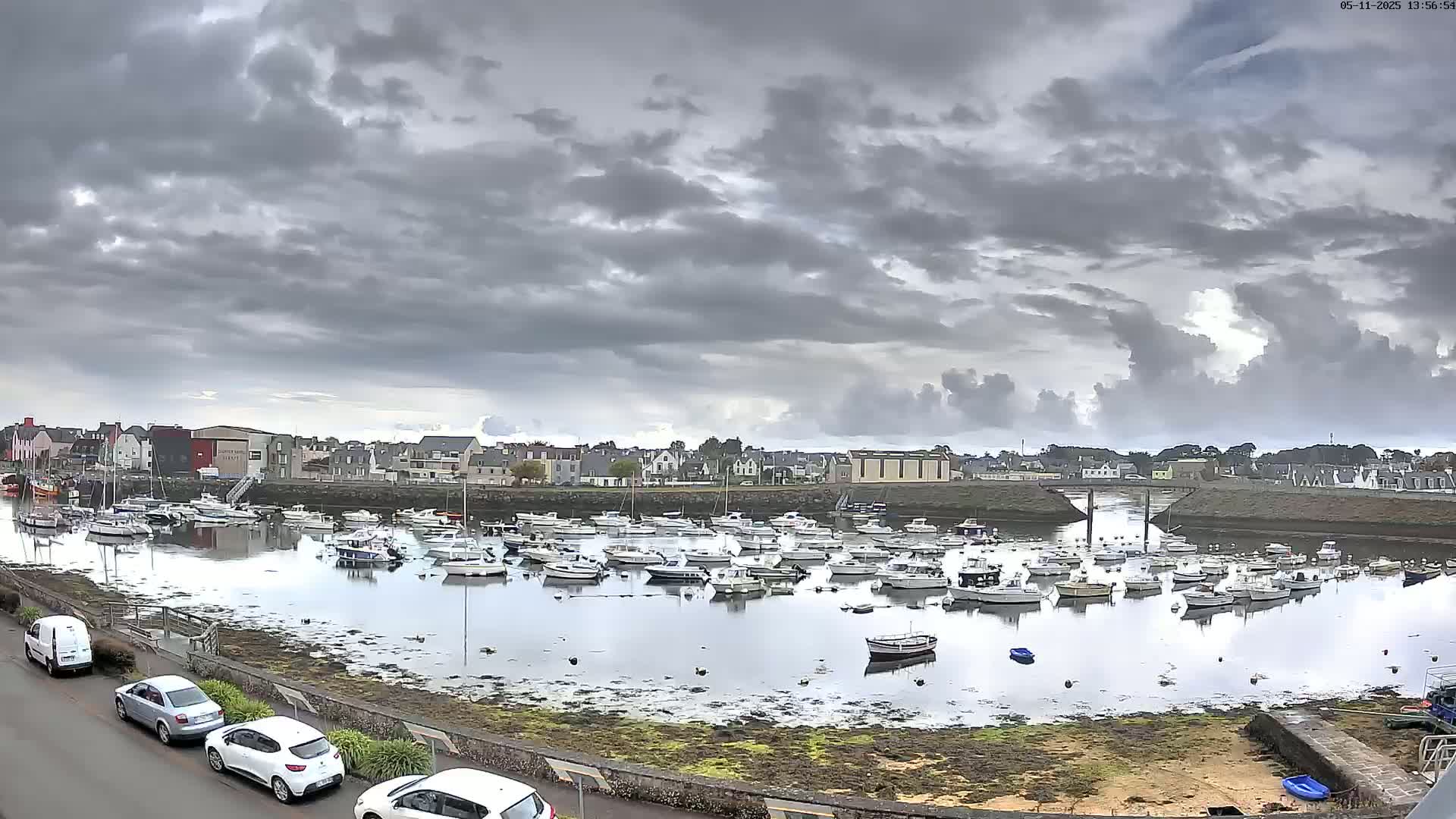 A harbor filled with numerous small boats is seen under a cloudy sky.