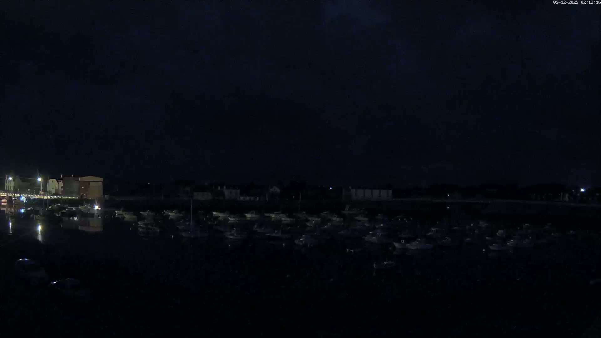 A dark nighttime scene shows a marina full of boats, with buildings faintly visible along the shore under a mostly clear sky.