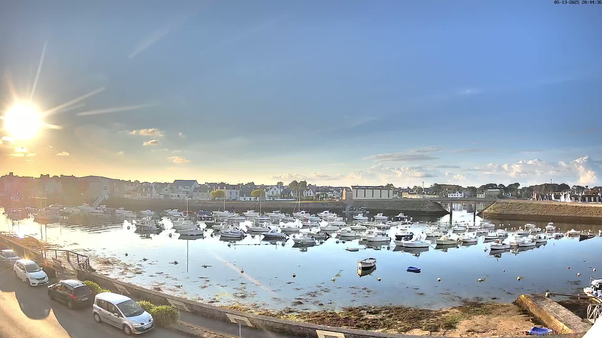 Many small white boats are docked in a calm harbor at sunset under a mostly clear sky.