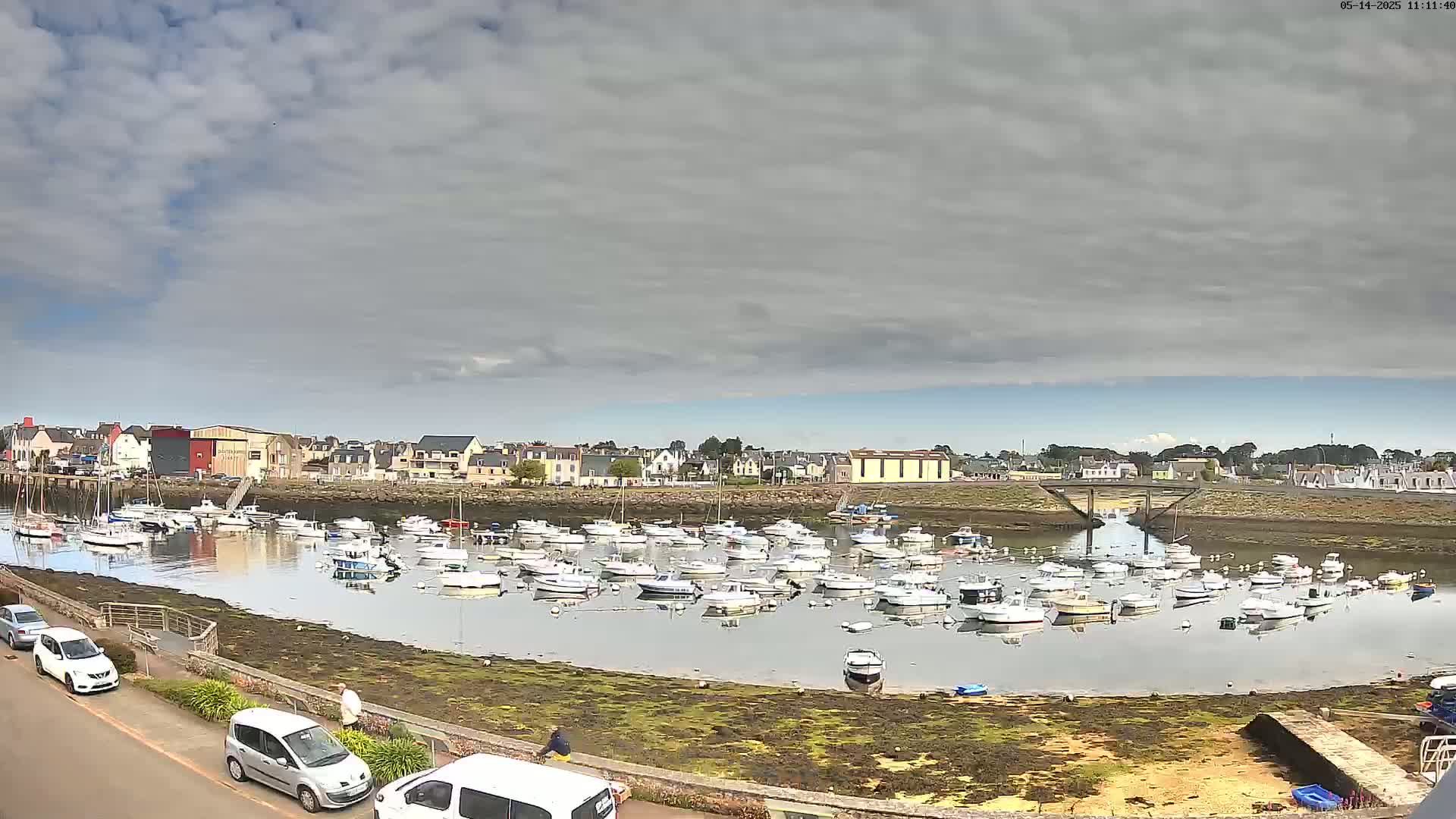 Many small boats are moored in a calm harbor next to a town under a mostly cloudy sky.