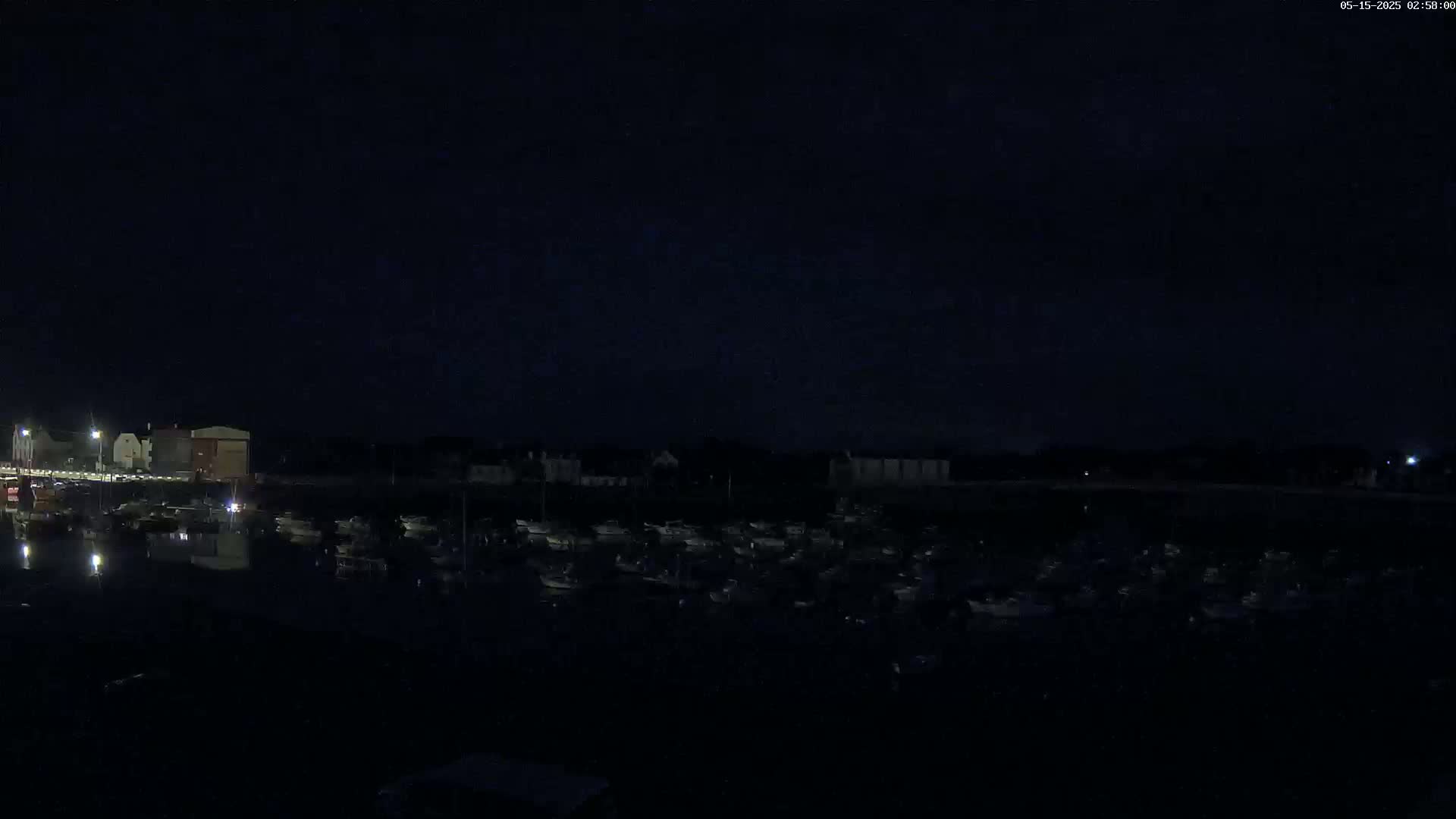 A dark nighttime scene shows a harbor filled with numerous boats moored alongside a waterfront with buildings under a clear, starlit sky.