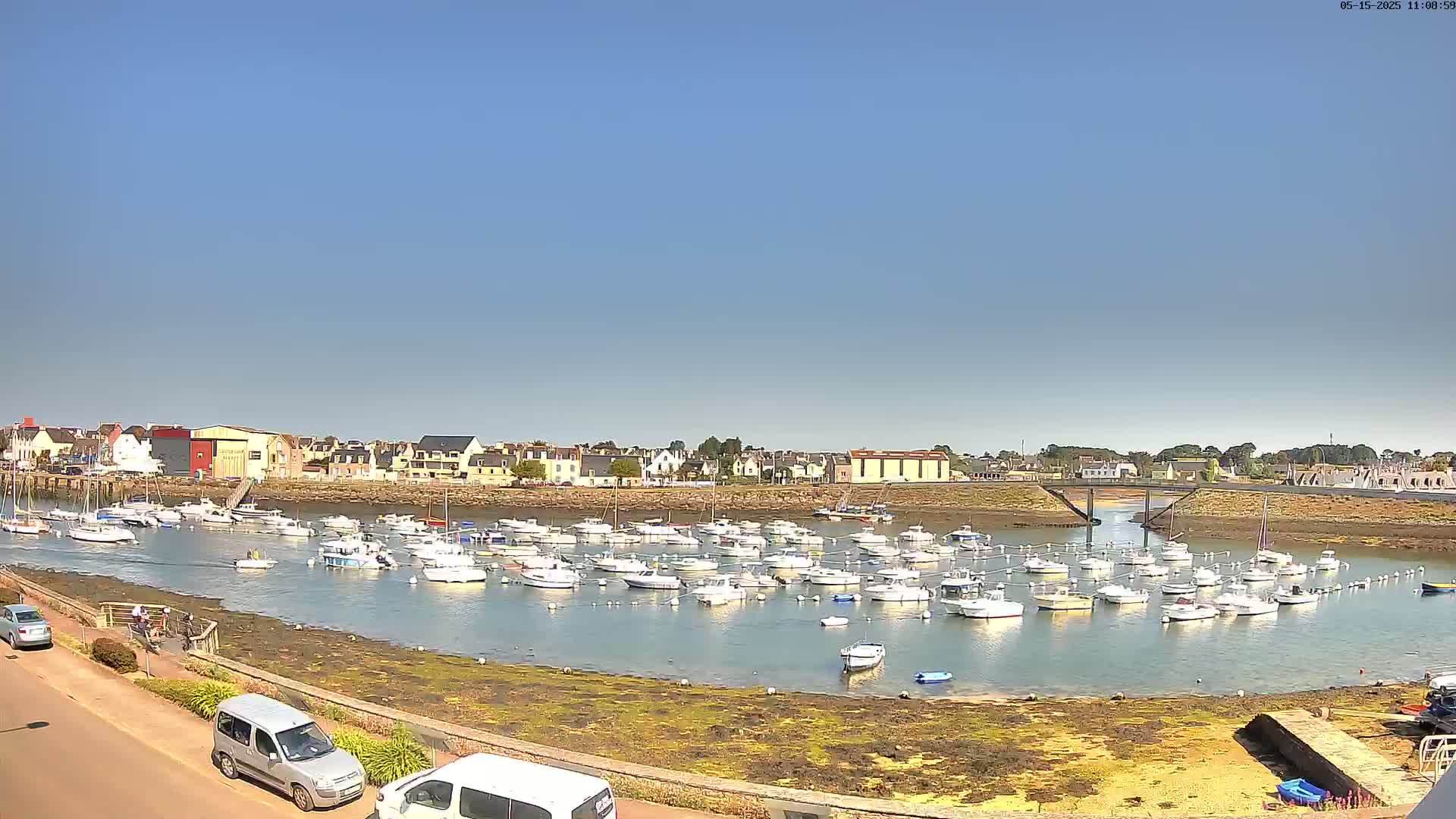 Under a clear blue sky, a harbor filled with numerous small white boats is nestled beside a town.