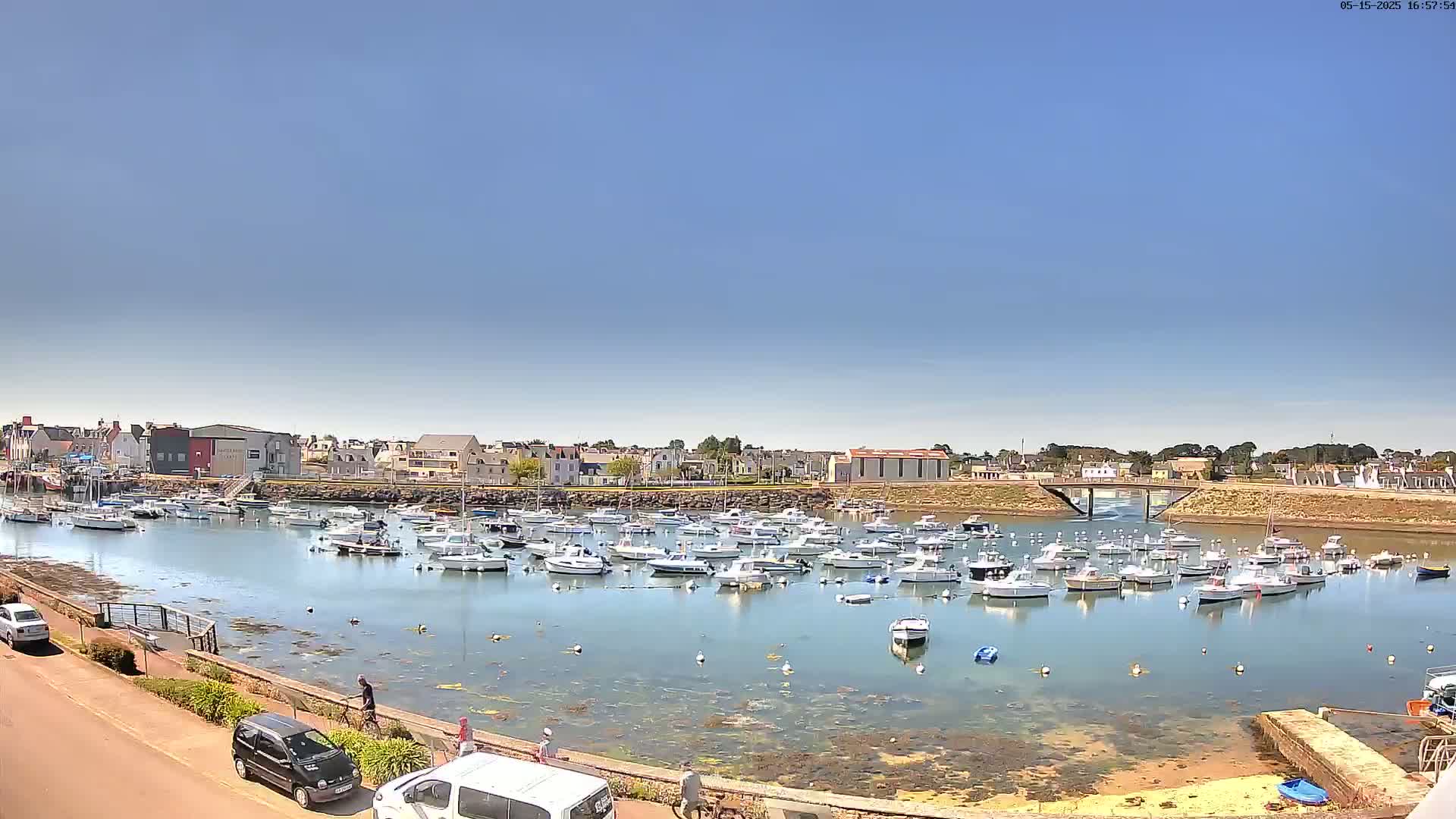 A calm harbor filled with numerous small boats under a clear blue sky.