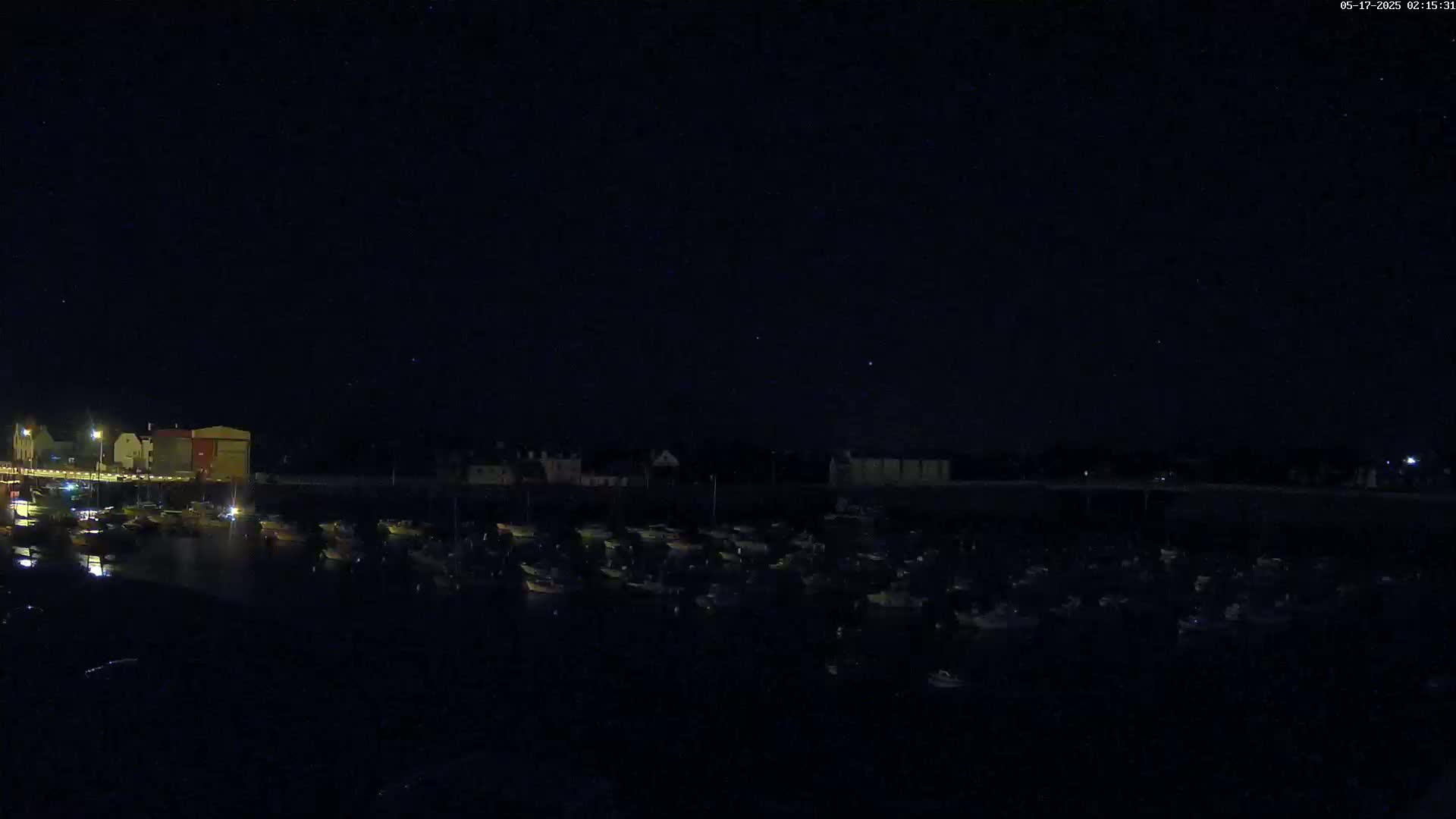 Under a clear, starlit night sky, numerous boats are moored in a harbor next to a dark shoreline with buildings faintly visible in the distance.