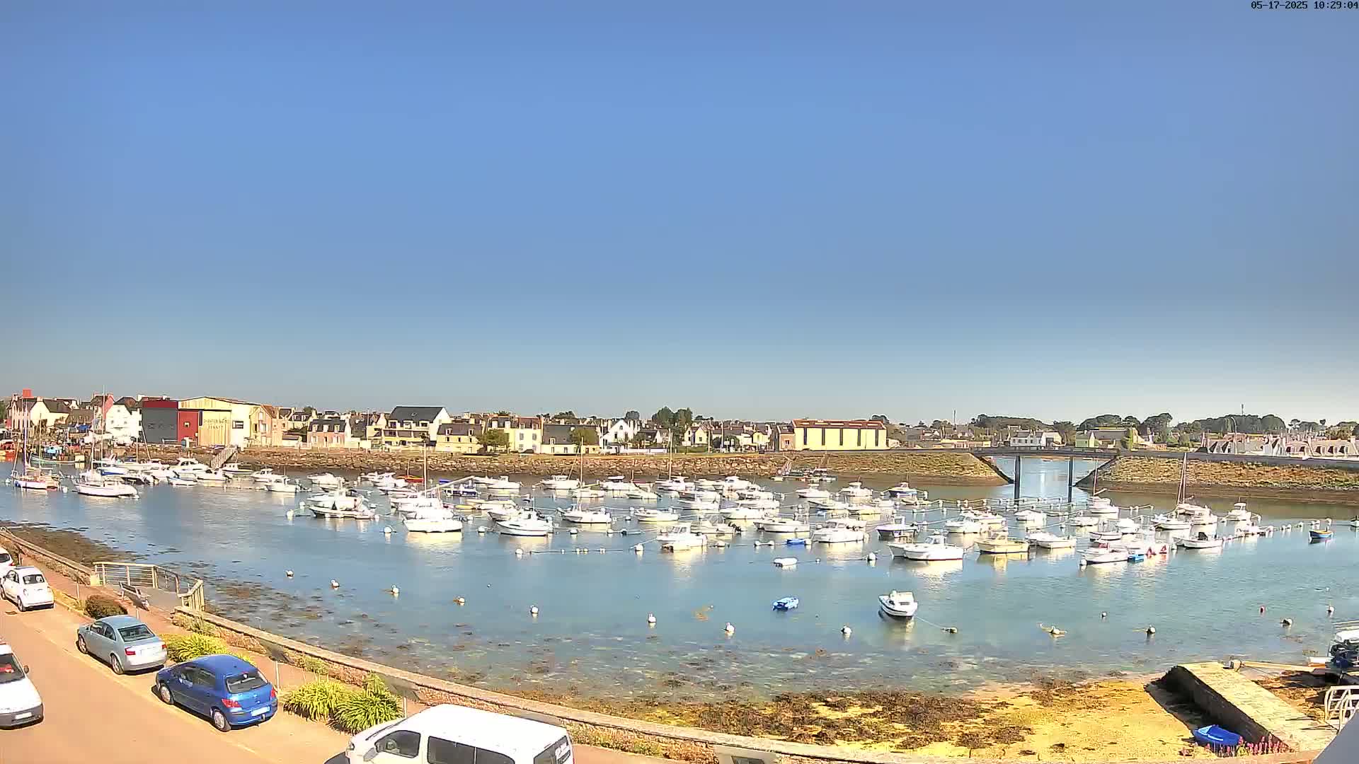 Under a clear blue sky, a calm harbor filled with numerous small boats is nestled beside a town with low buildings.