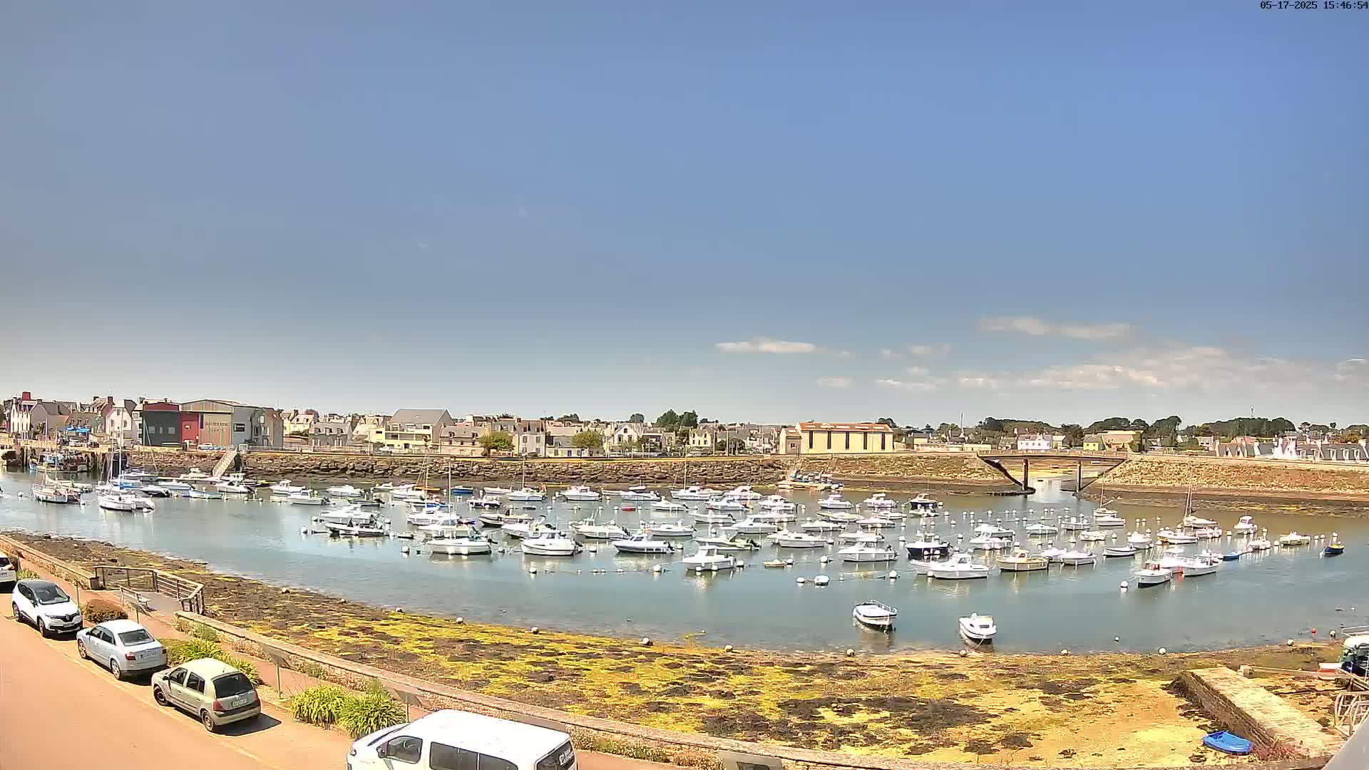 A harbor filled with numerous small white boats is situated in front of a town under a clear, sunny sky.