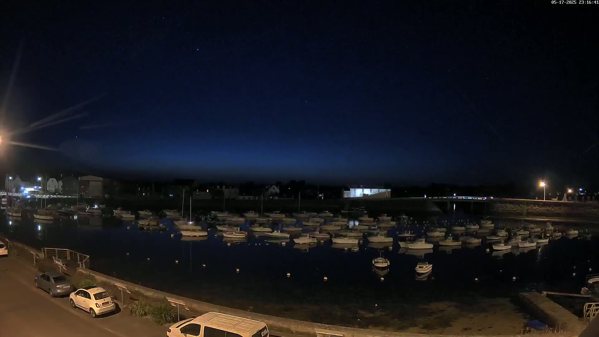 A calm harbor at night, under a dark, starry sky, is filled with numerous small boats at their moorings.