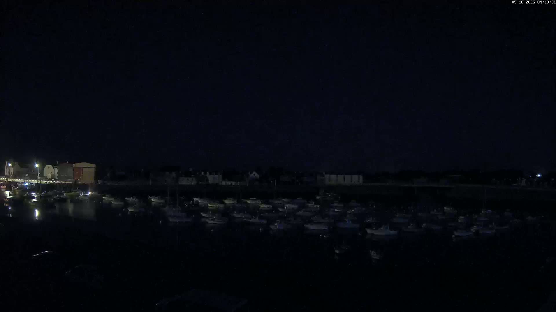 A dark night scene shows a harbor filled with numerous boats moored alongside a waterfront with buildings under a clear, star-speckled sky.