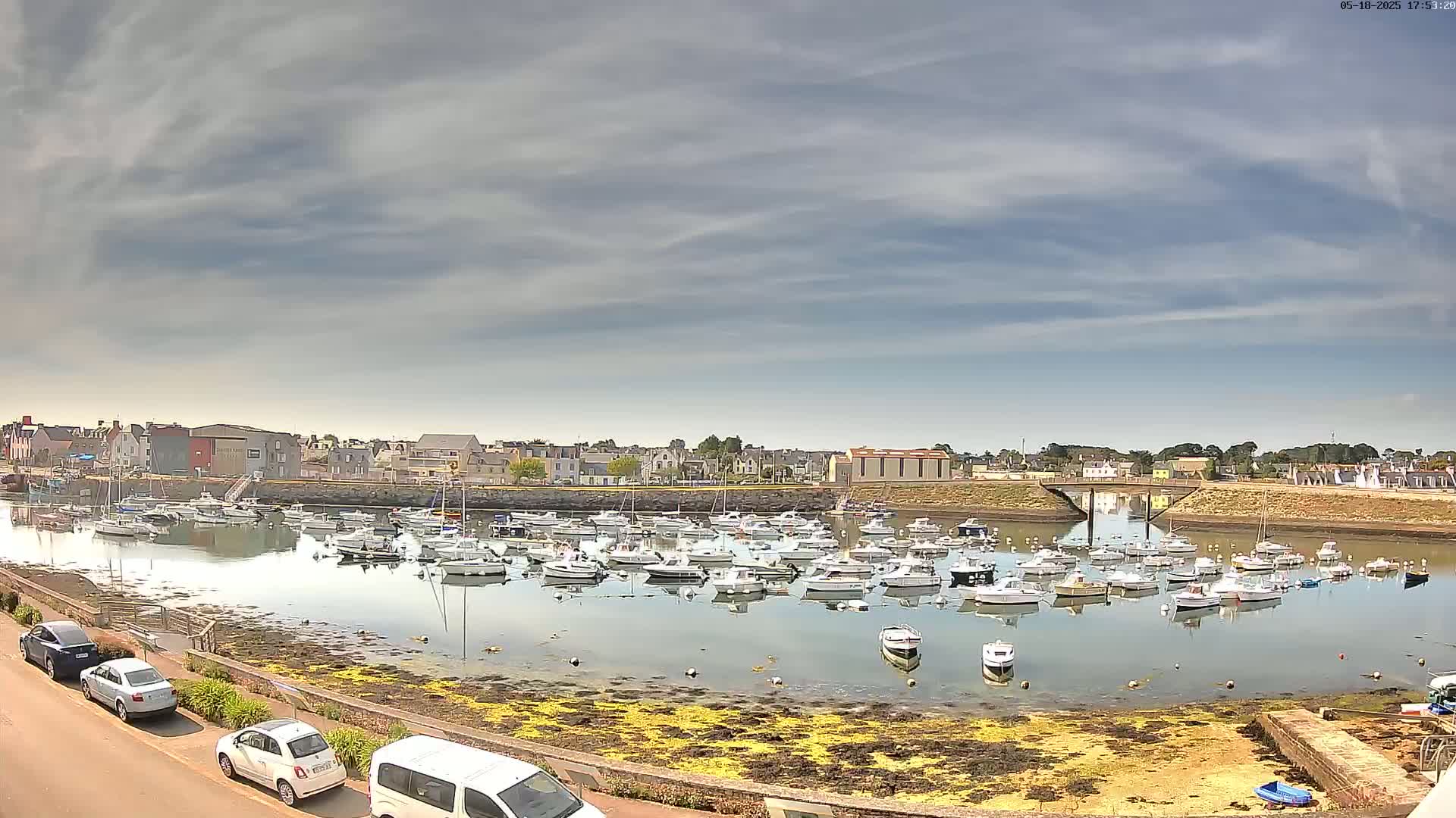 Many small boats are moored in a calm harbor under a partly cloudy sky, with cars parked along a road in the foreground.