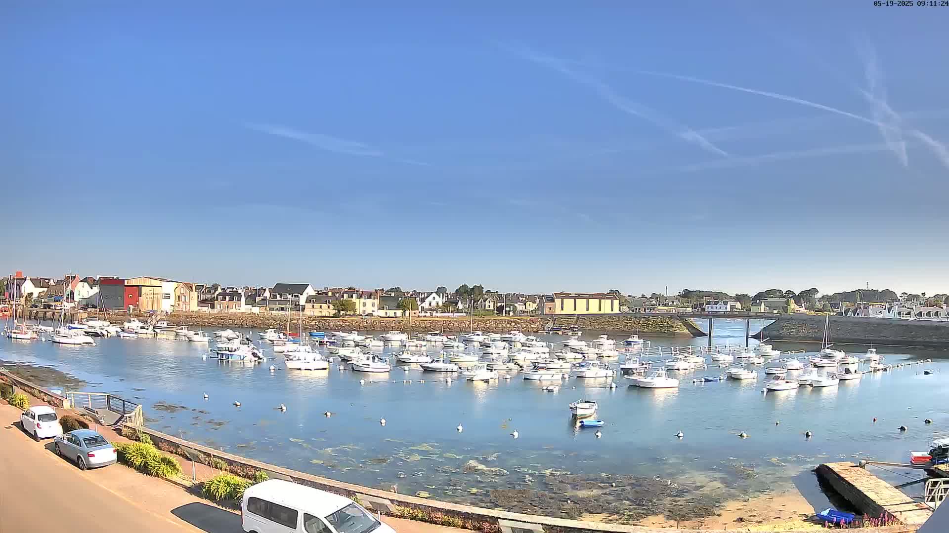 A harbor filled with numerous white boats is situated in front of a town under a clear, sunny sky.