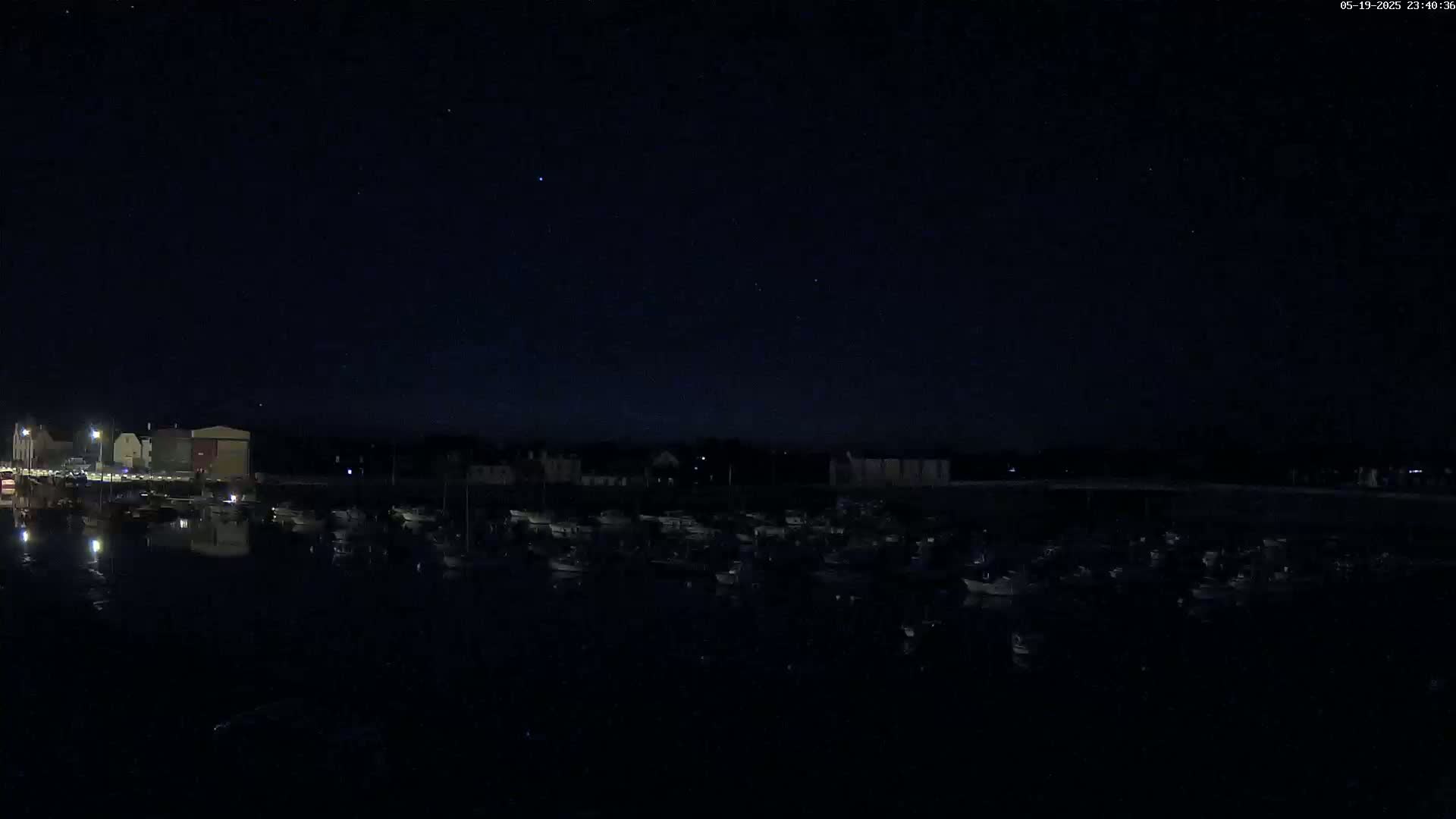 A nighttime view of a harbor filled with numerous boats under a clear, starry sky.