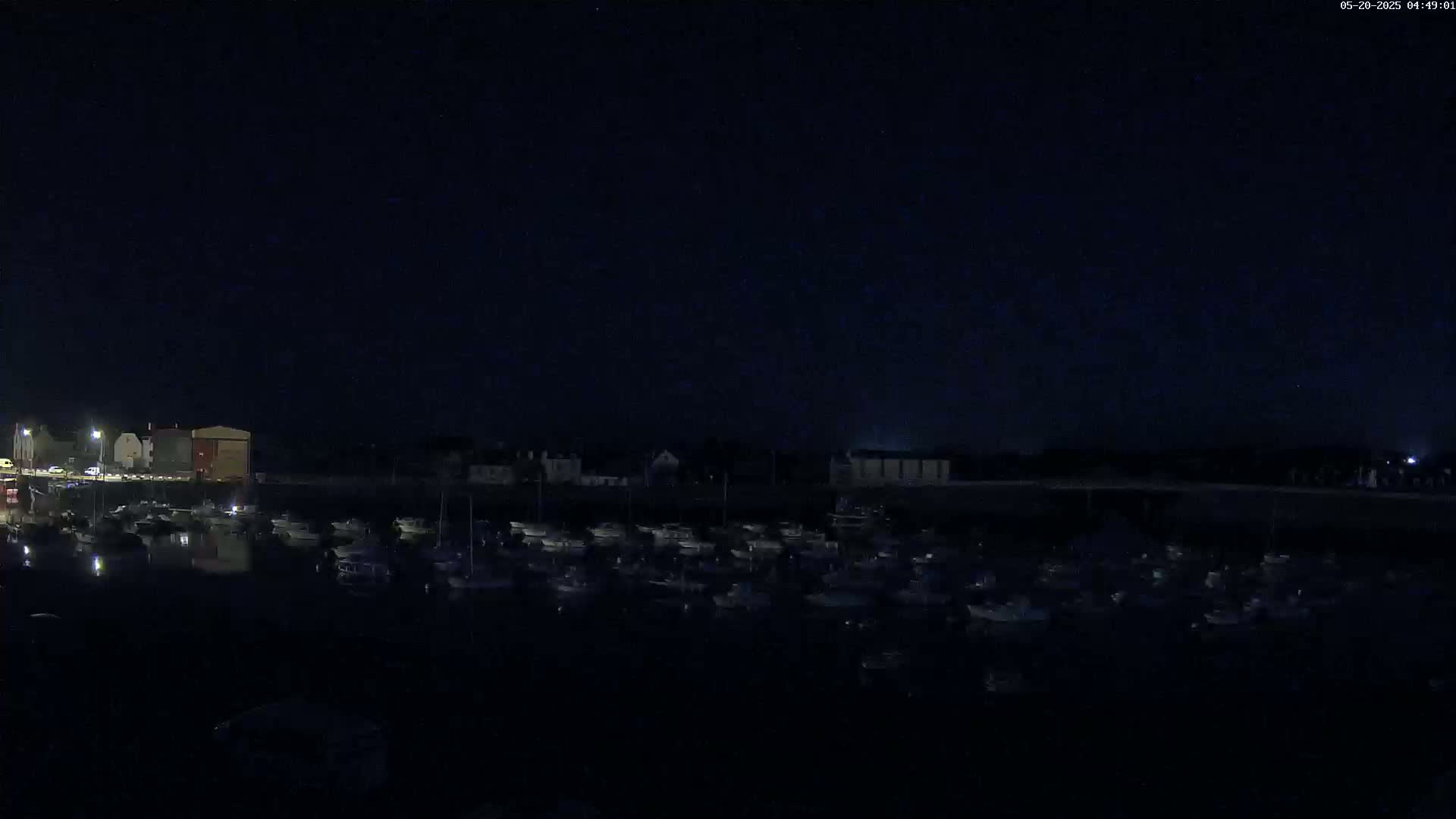 A dark night shows a harbor filled with numerous boats, with buildings faintly visible along the shoreline under a clear, starry sky.