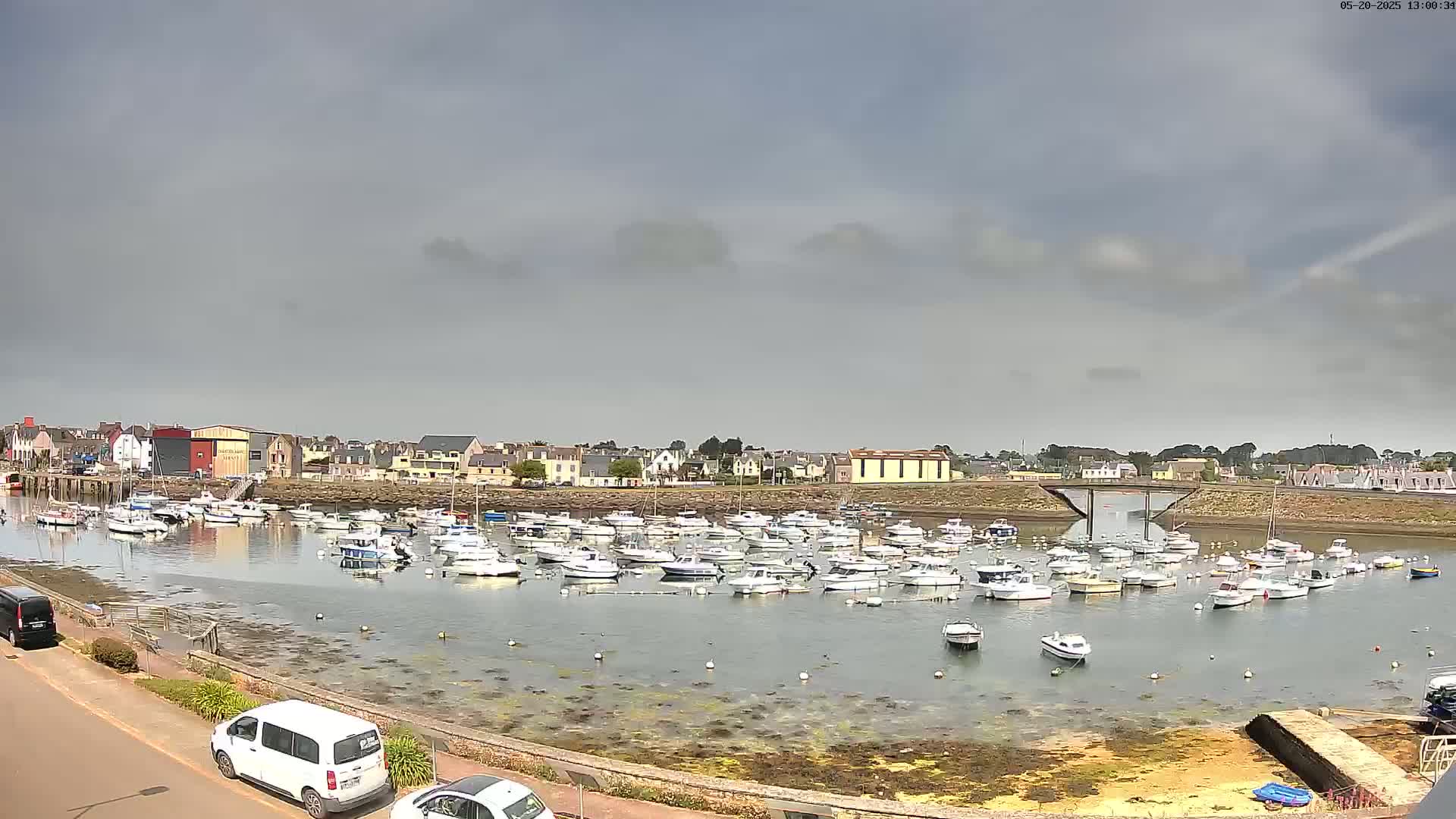 Many small motorboats are moored in a calm harbor under a mostly cloudy sky, with a small town visible in the background.